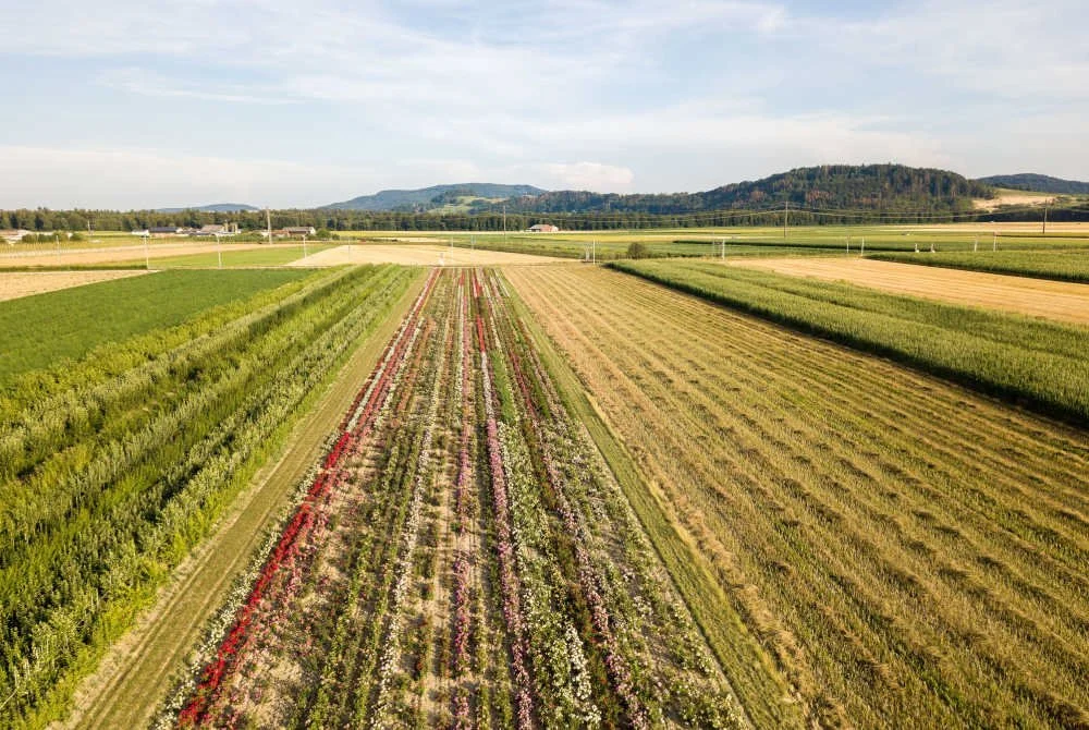 Regenerative Agriculture Is Having a Moment. Here's How the Rockefeller Foundation's Pitching In