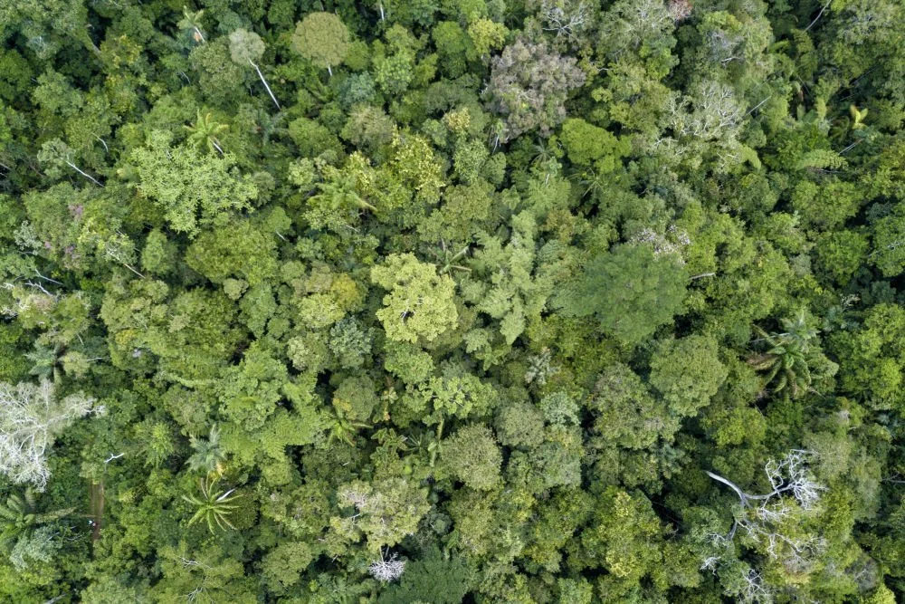 What We Learned From a Deep Dive into Funding for Conservation, Pollution and Agriculture