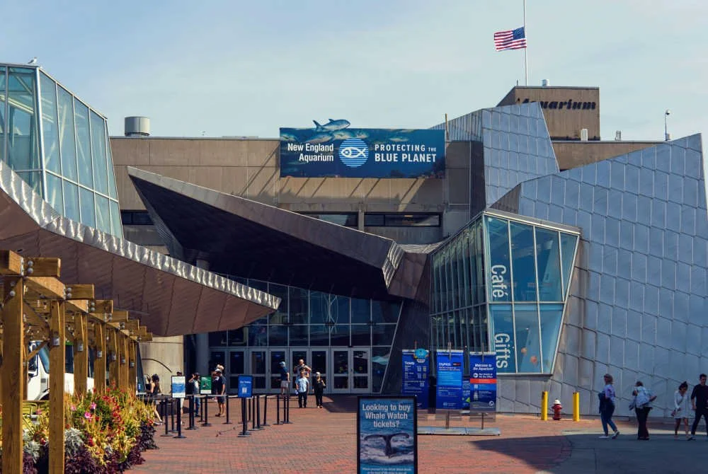 A Glimpse into the Becton Family Foundation’s Giving in the Northeast