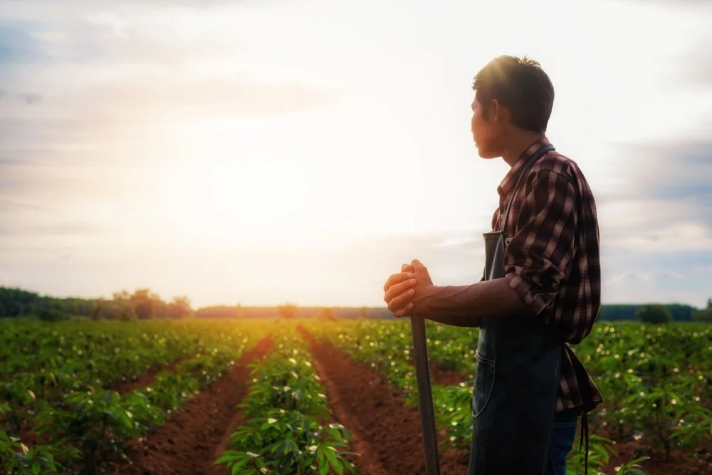 With Food Systems in the Spotlight at COP28, Philanthropy Tries to Build Momentum