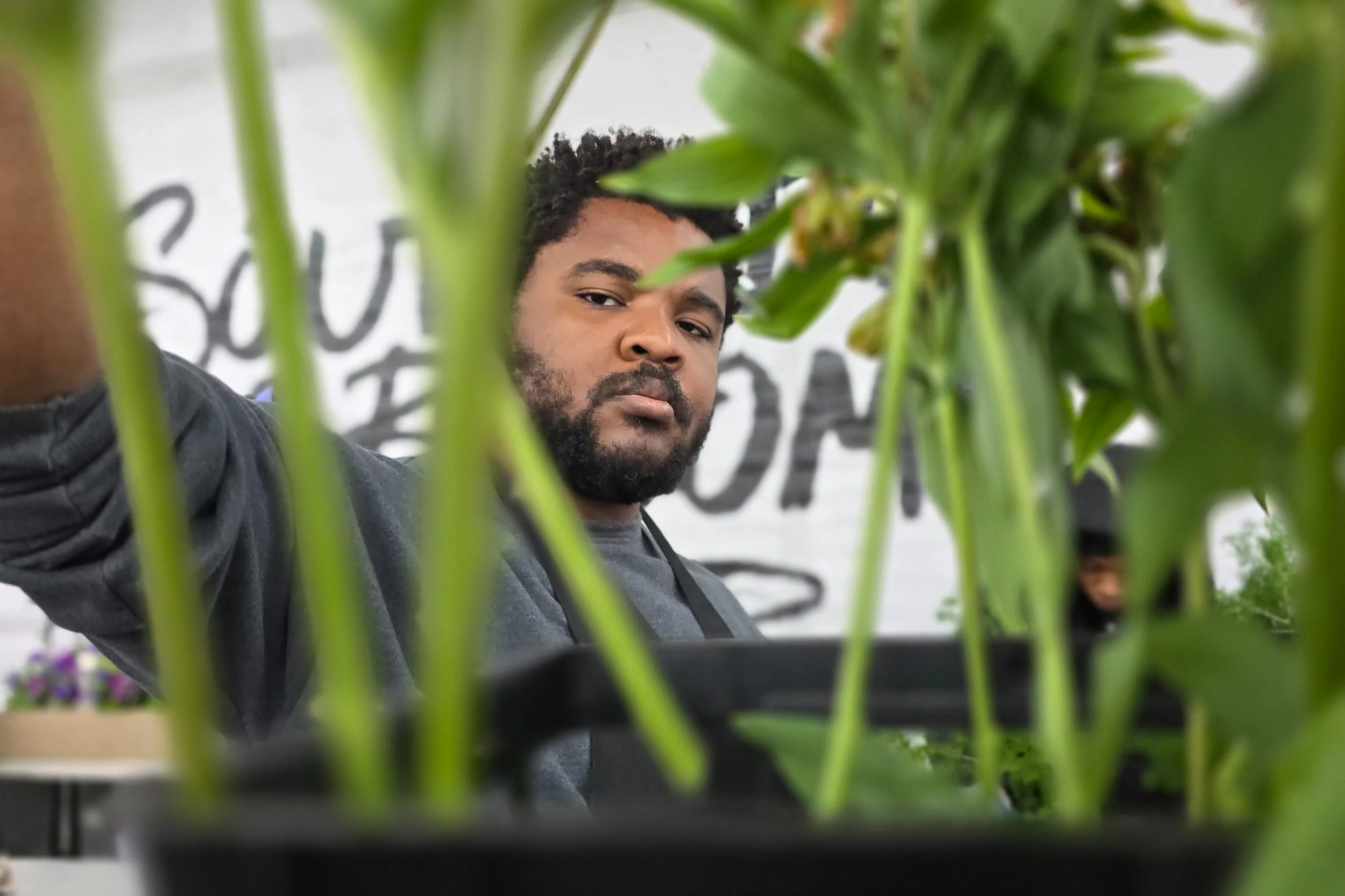 Merging Trust-Based Philanthropy and VC-Style Support to Help Communities Bloom