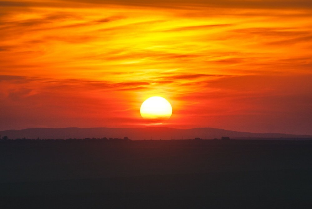 The Sunsetting Swift Foundation Is Giving Grantees the Power to Sustain Themselves