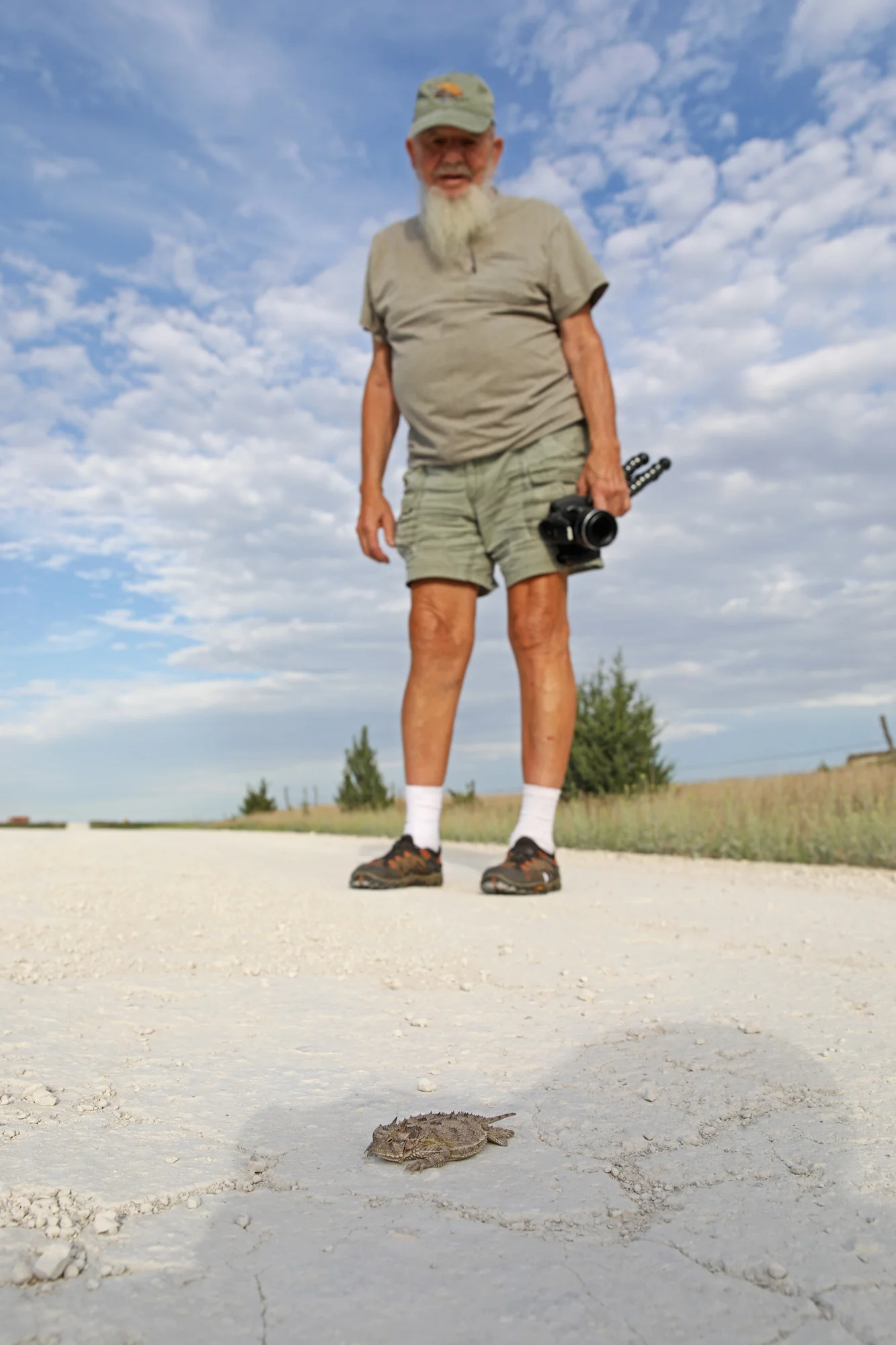 Texas Horned Lizard (Phrynosoma cornutum) in the foreground and Richard D. Bartlett (Dick Bartlett) in the back...incase there was any confusion.