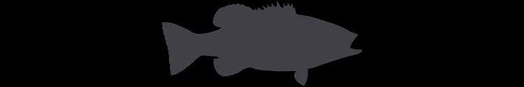 Smalljaws.jpg