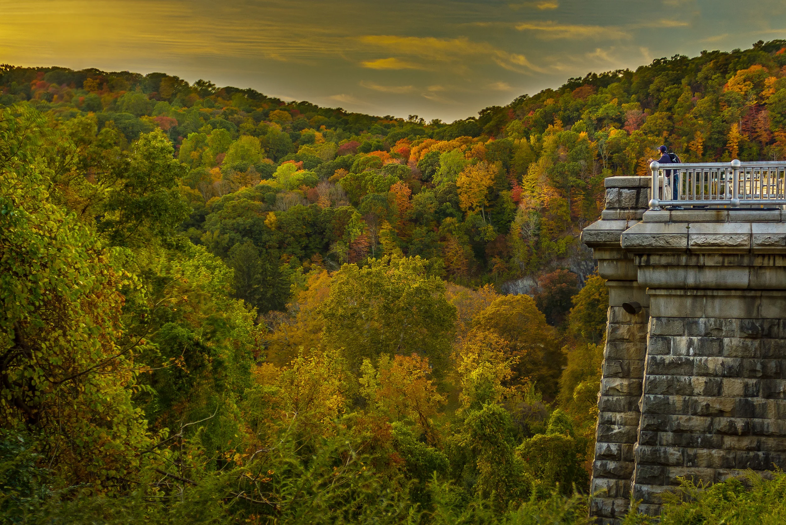 Fall foliage at its best