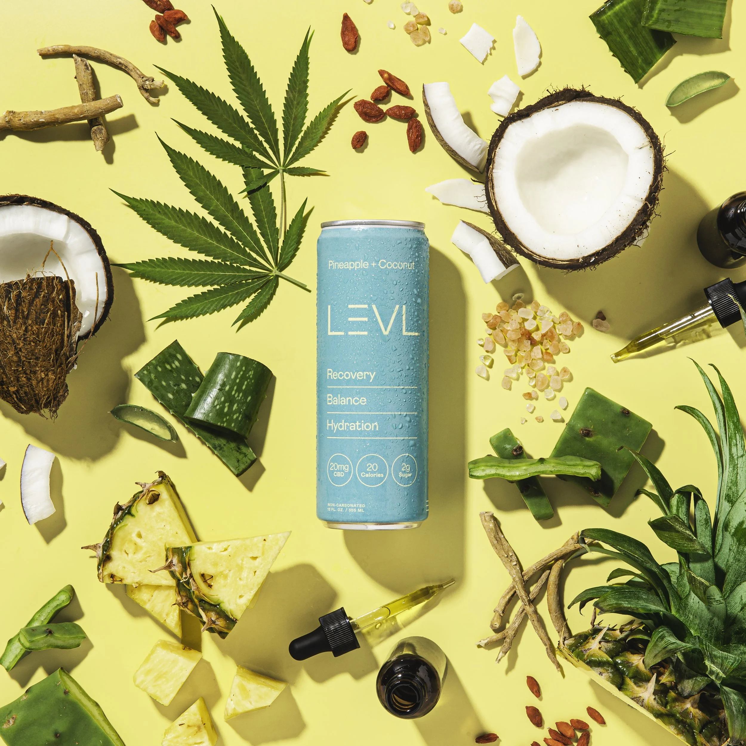PineappleCoconut_Overhead-1.jpg