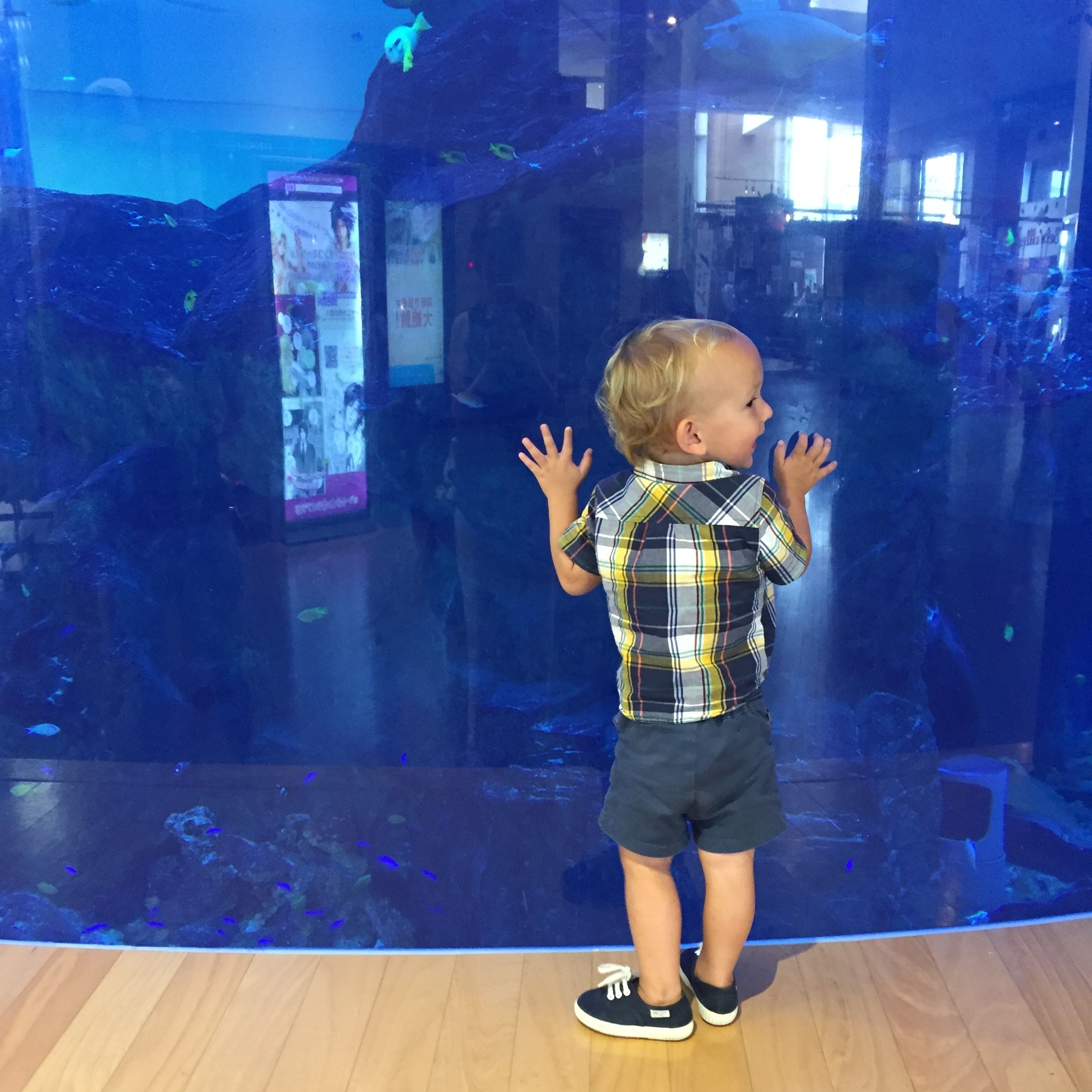 Totally into the aquarium in the port. 