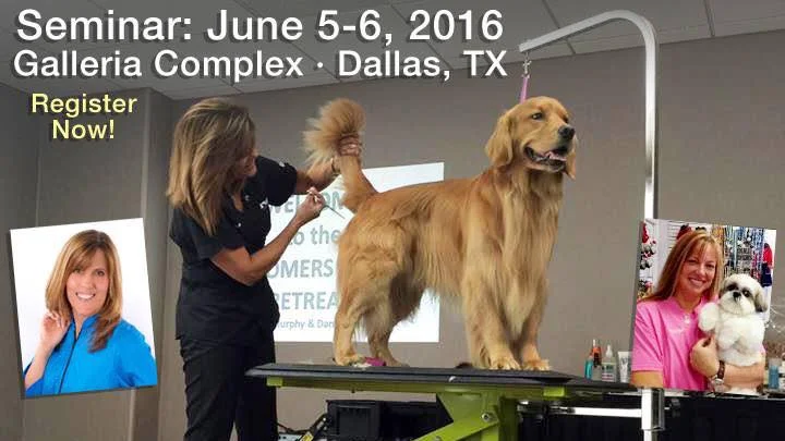 JM Seminar, Dallas