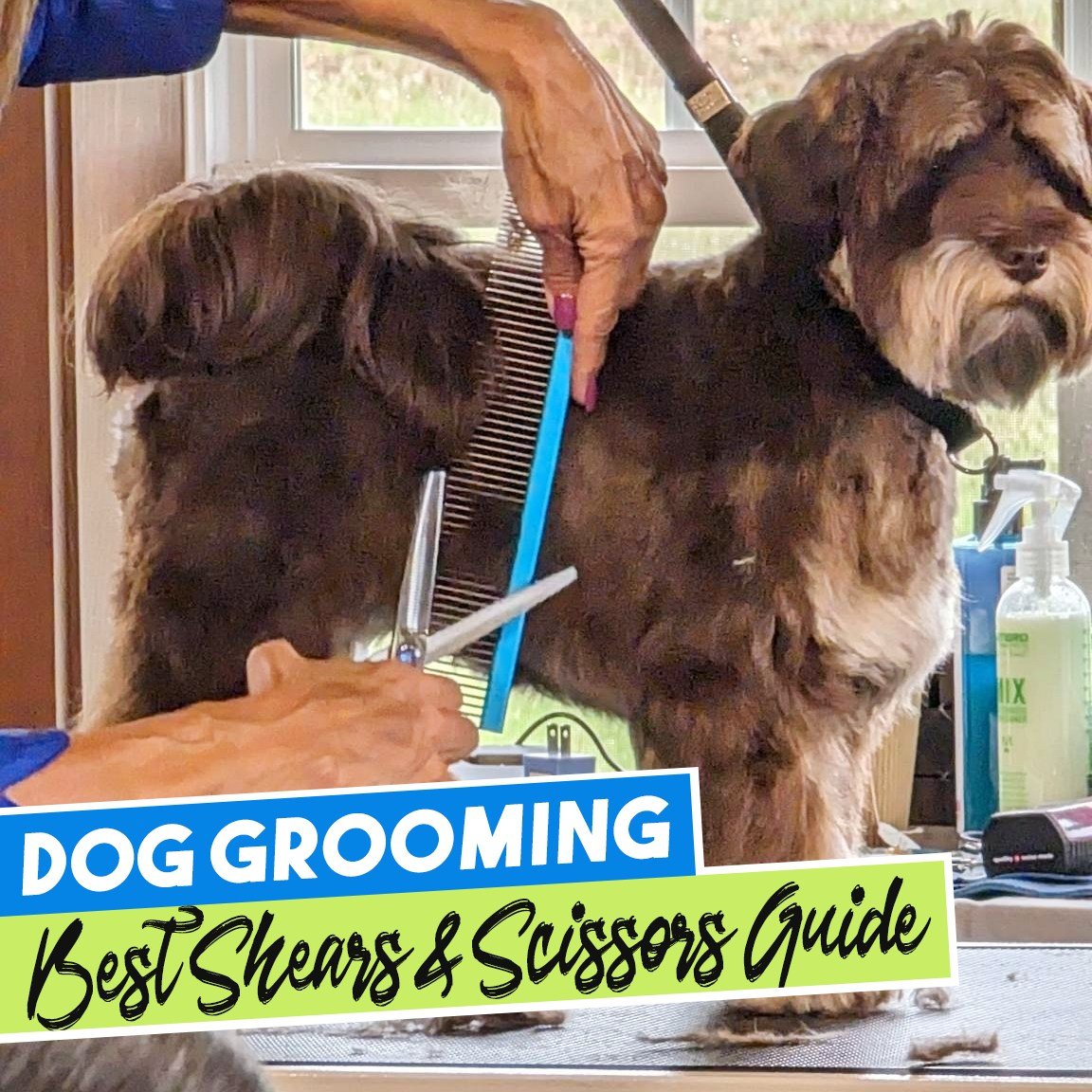 ❓ Did you know... that using a set of thinning shears ✂️ is essential for achieving a professional, natural finish when grooming your dog? 🐕 

My set of 4 thinning shears helps remove bulk, blend different coat lengths, and create a smooth, even loo