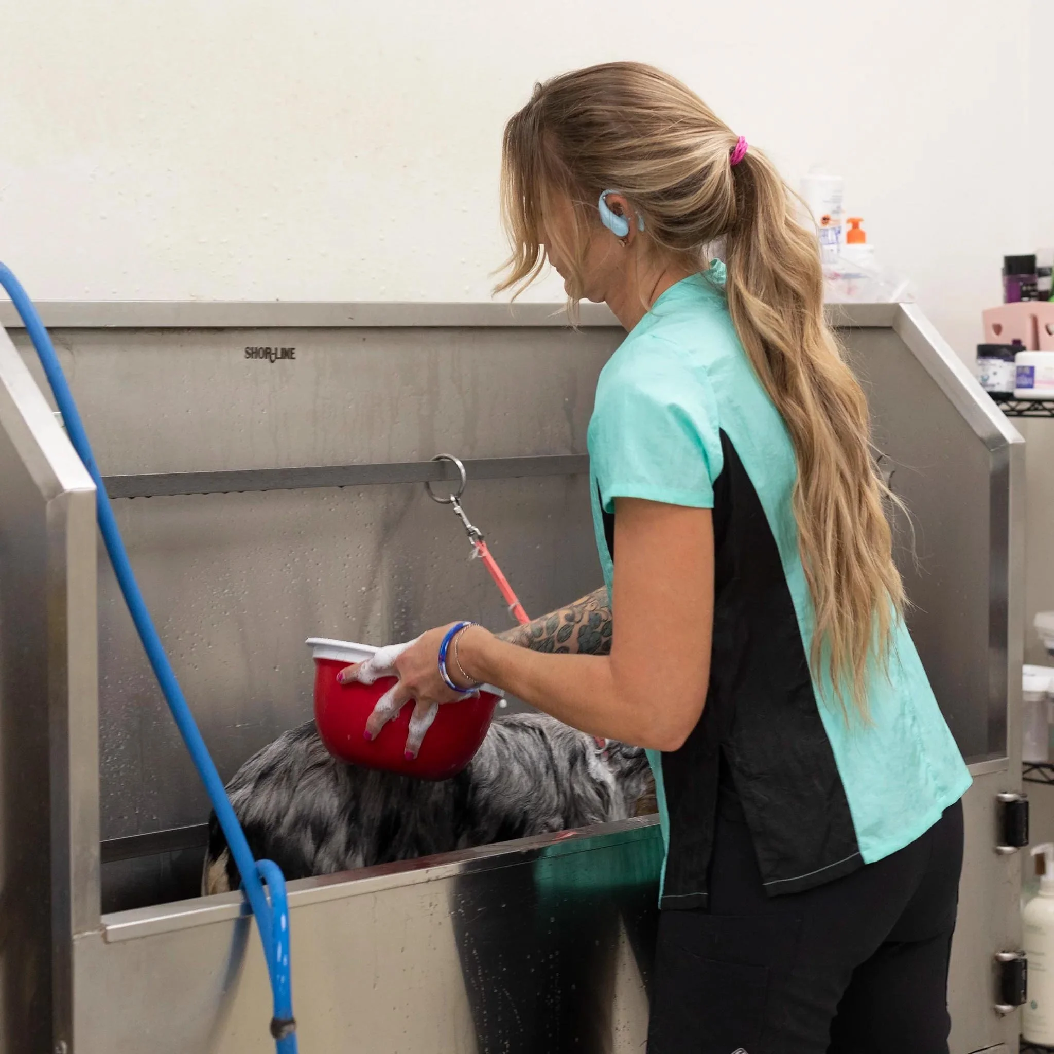 Groomer's Short Sleeve Top — Mint/Black for Dog Groomers | Jodi Murphy Grooming Products