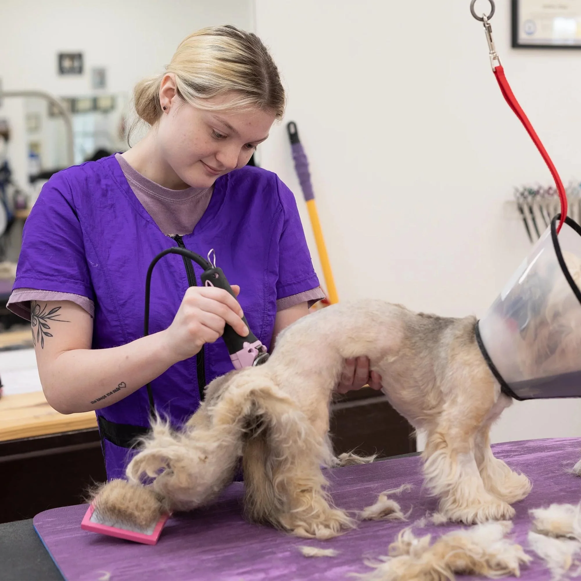 Groomer's Double Pocket Short Sleeve Top (XXS-3X) for Dog Groomers | Jodi Murphy Grooming Products