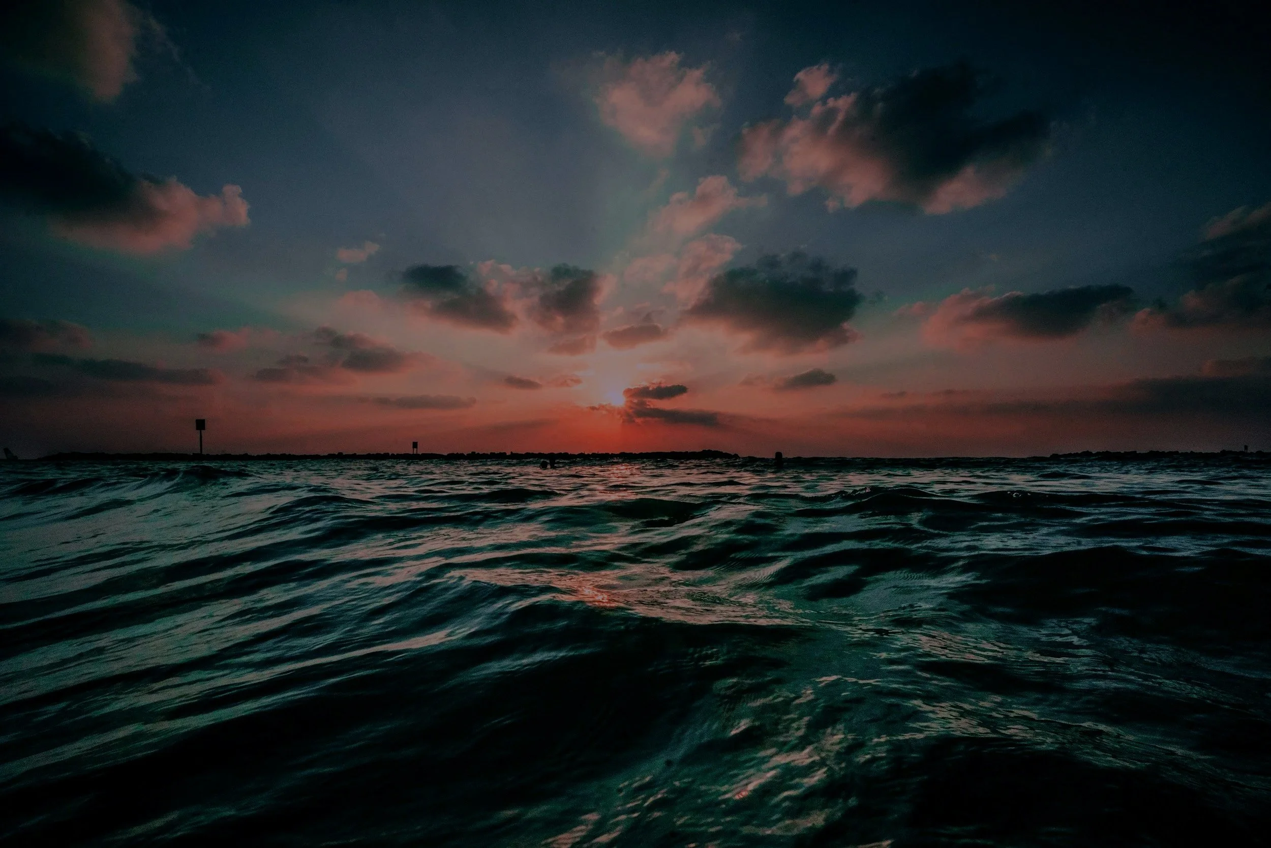 unsplash-image-oQl0eVYd_n8.jpg