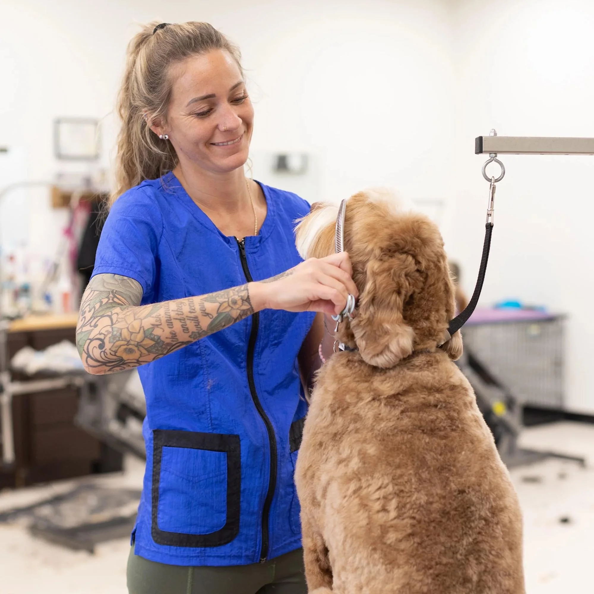 Groomer's Double Pocket Short Sleeve Top (XXS-3X) for Dog Groomers | Jodi Murphy Grooming Products