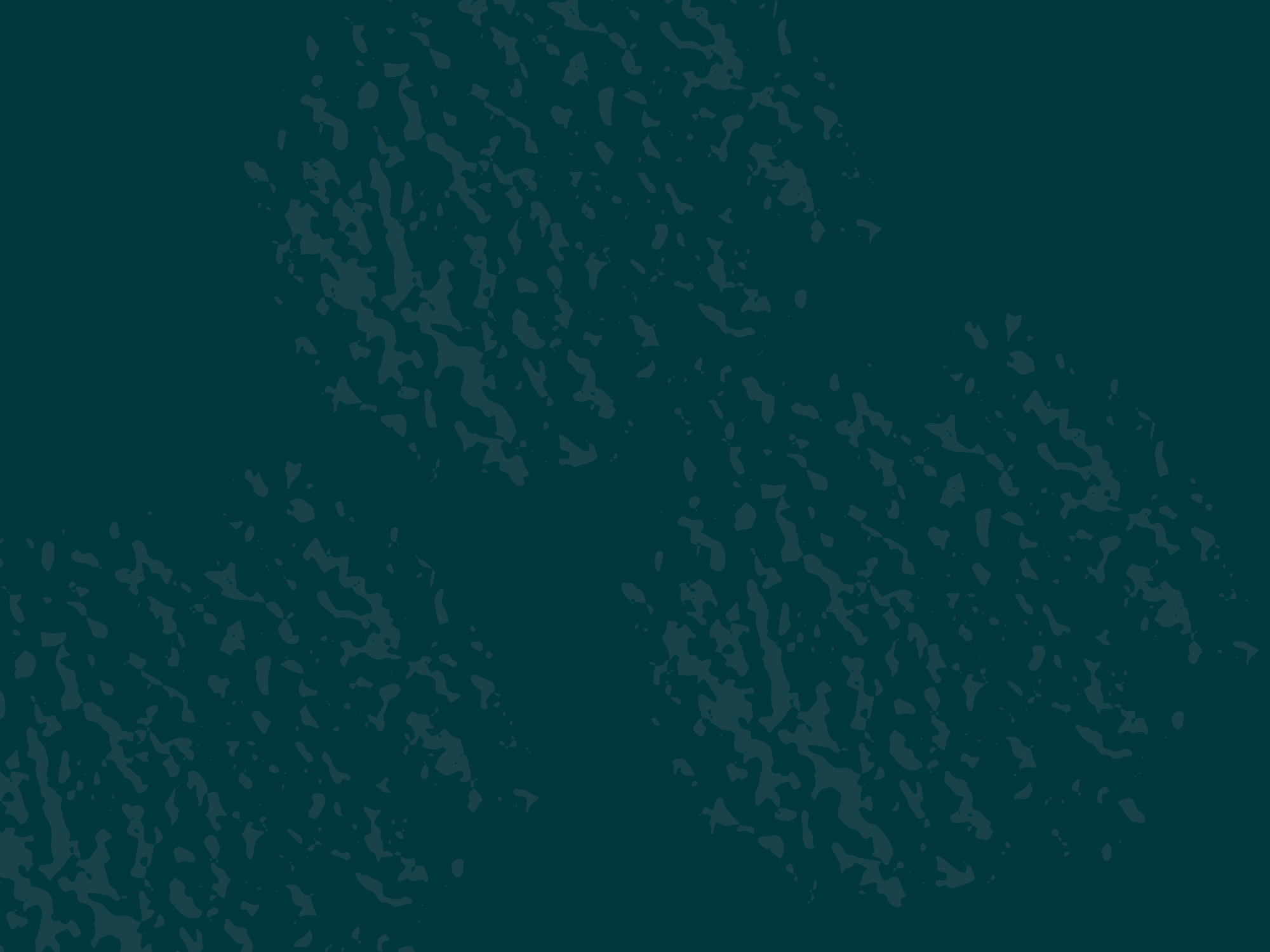 Holiday-bkgd.png