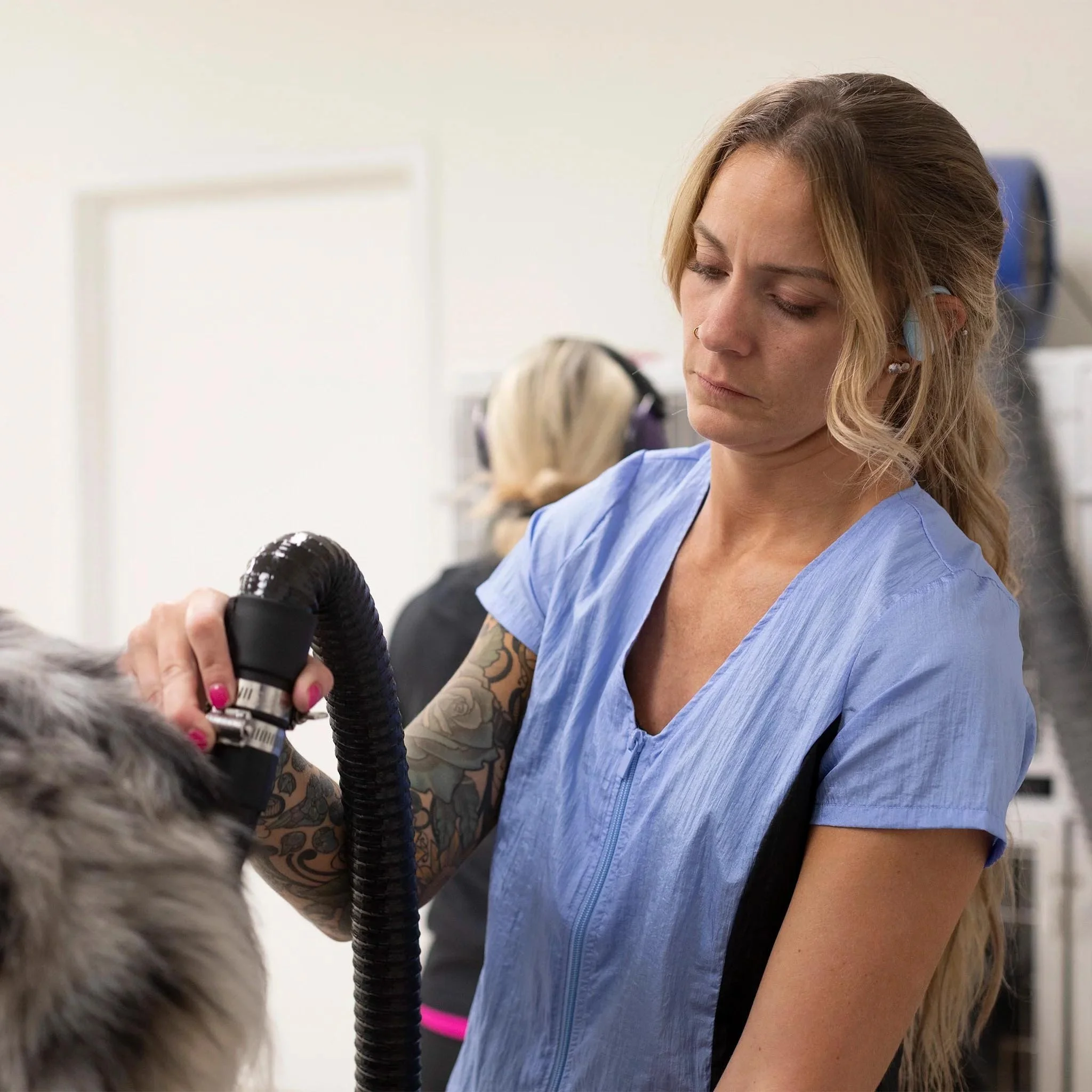 Groomer's Short Sleeve Top — Periwinkle & Black for Dog Groomers | Jodi Murphy Grooming Products