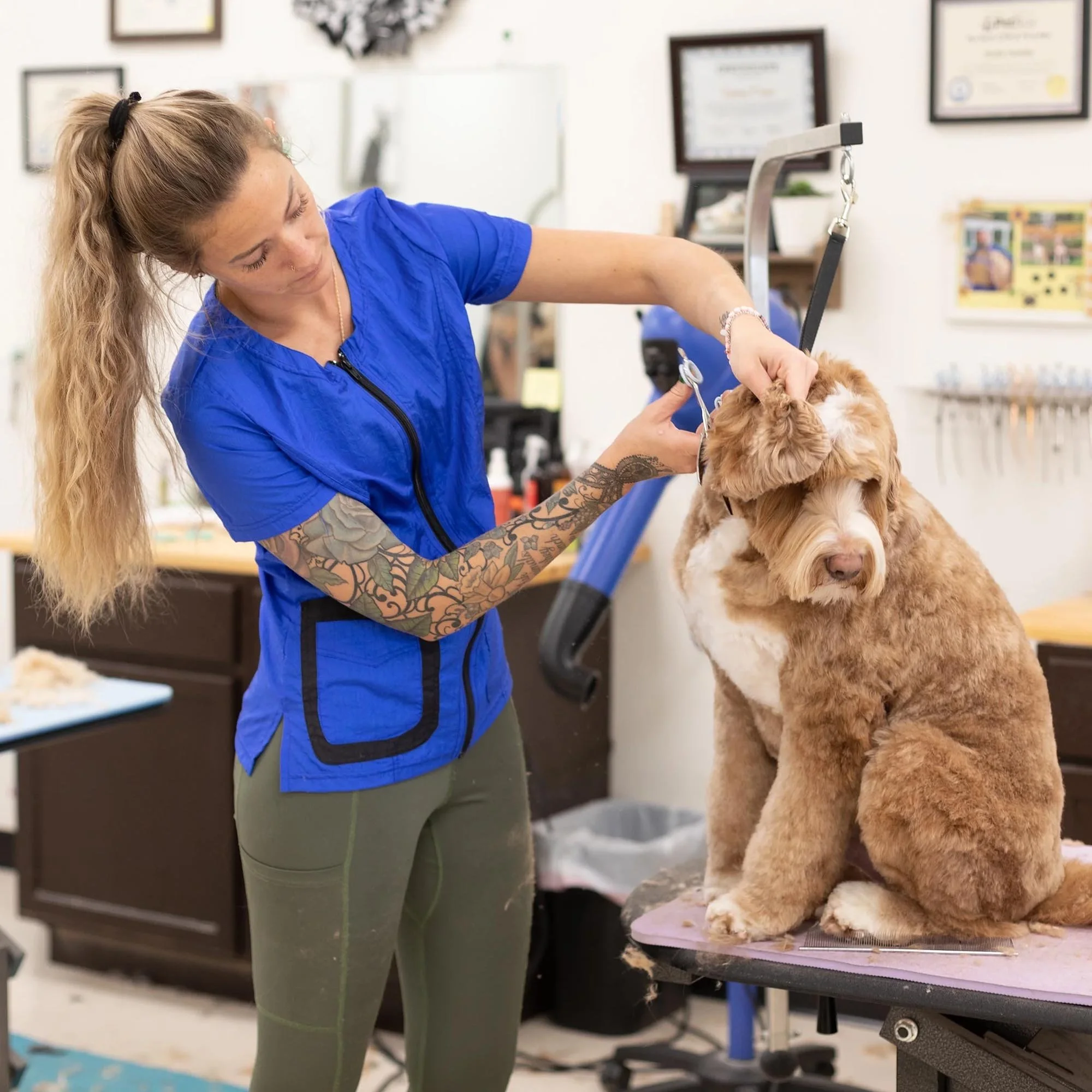 Groomer's Double Pocket Short Sleeve Top (XXS-3X) for Dog Groomers | Jodi Murphy Grooming Products