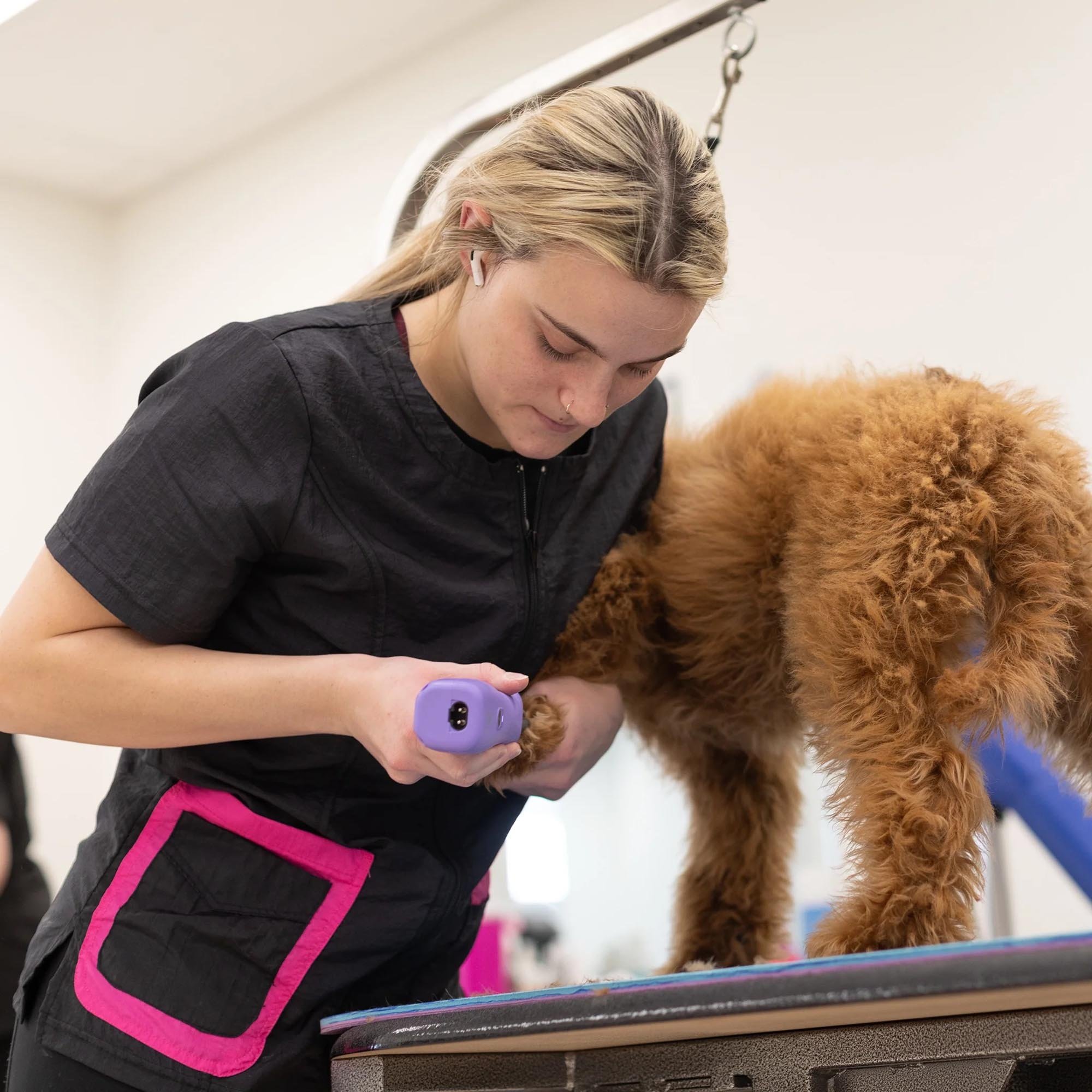 Groomer's Double Pocket Short Sleeve Top (XXS-3X) for Dog Groomers | Jodi Murphy Grooming Products