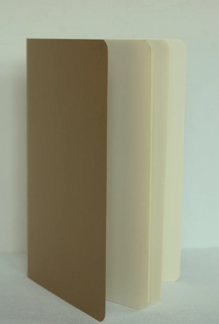 Large Plain Insert.jpg
