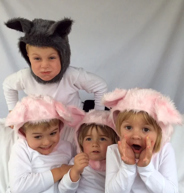 three_pigs_set_large.jpg