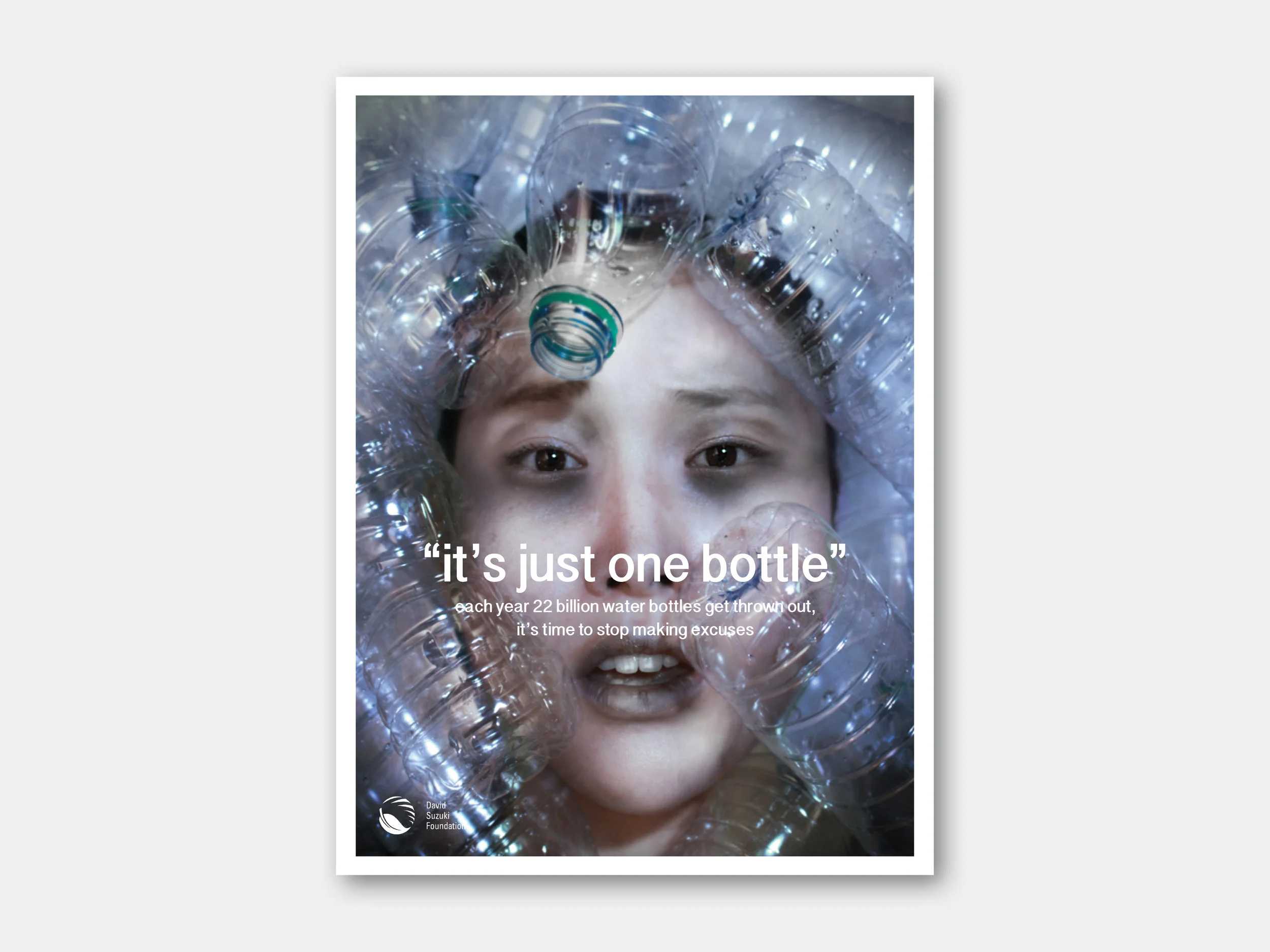 David Suzuki_Poster Series_Screens_.jpg