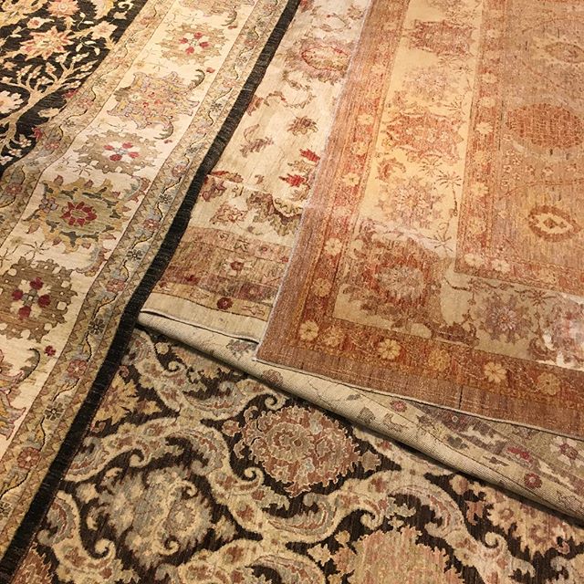 Which of these rugs is magic and will take us to the sunshine?