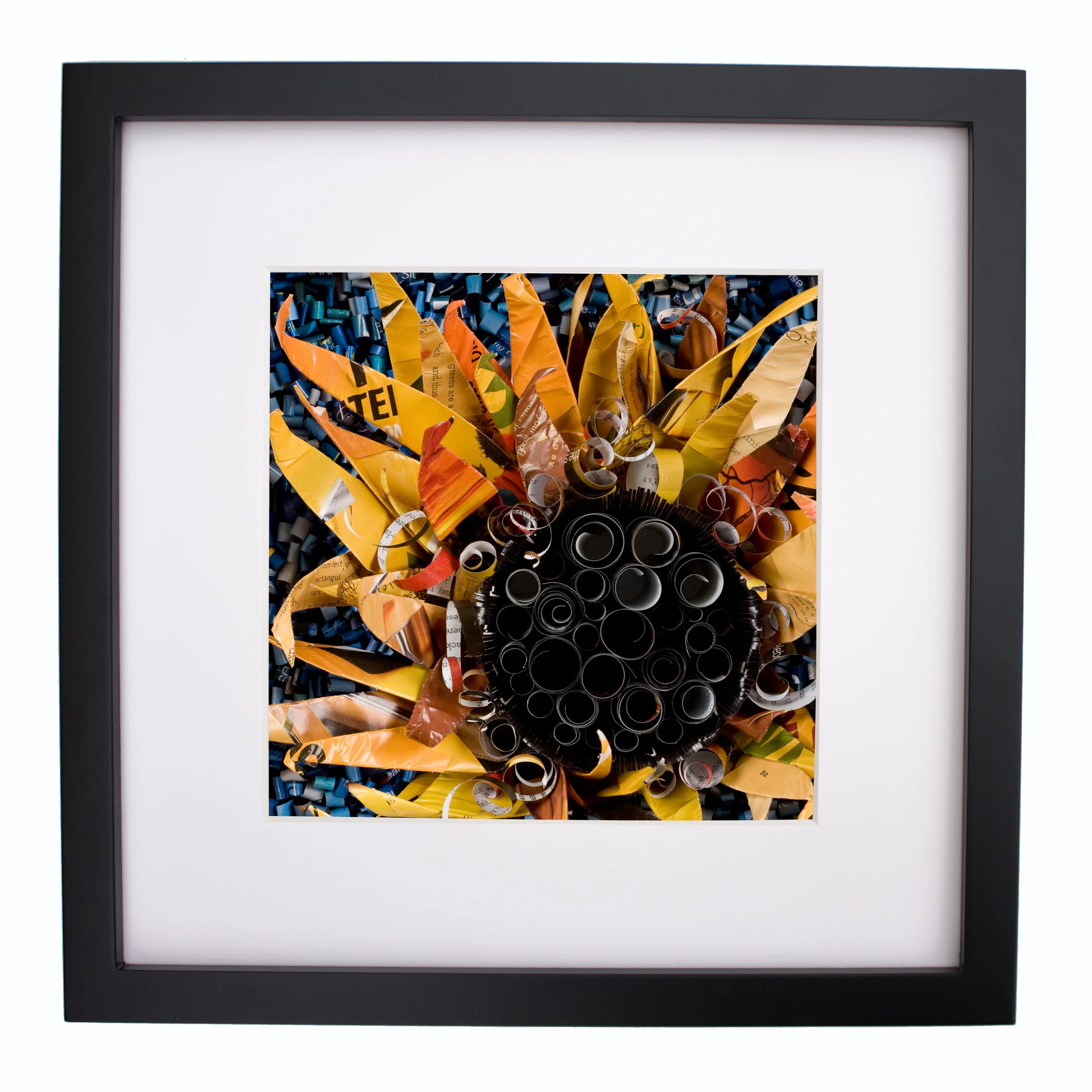 Sunflower, print