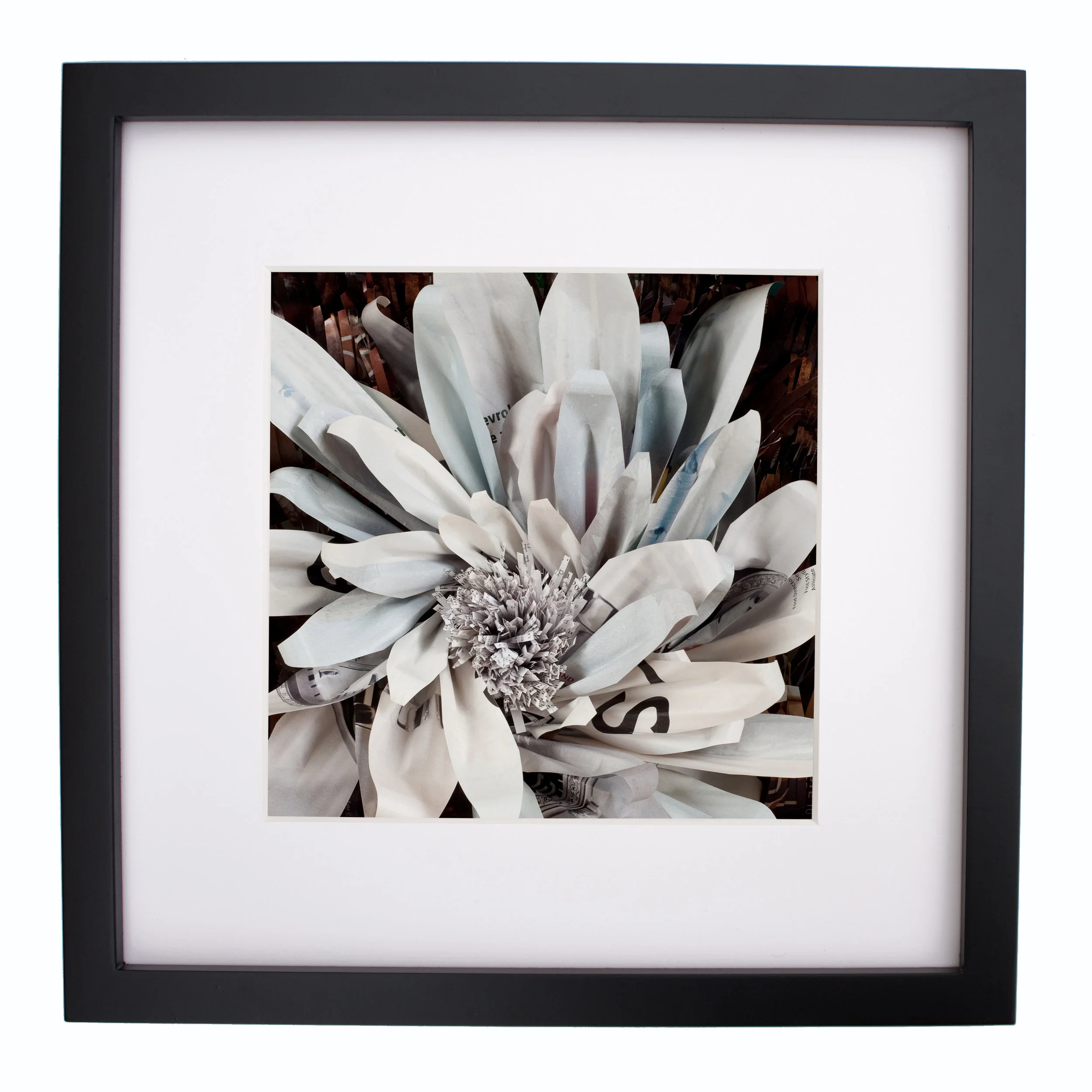White Flower, print
