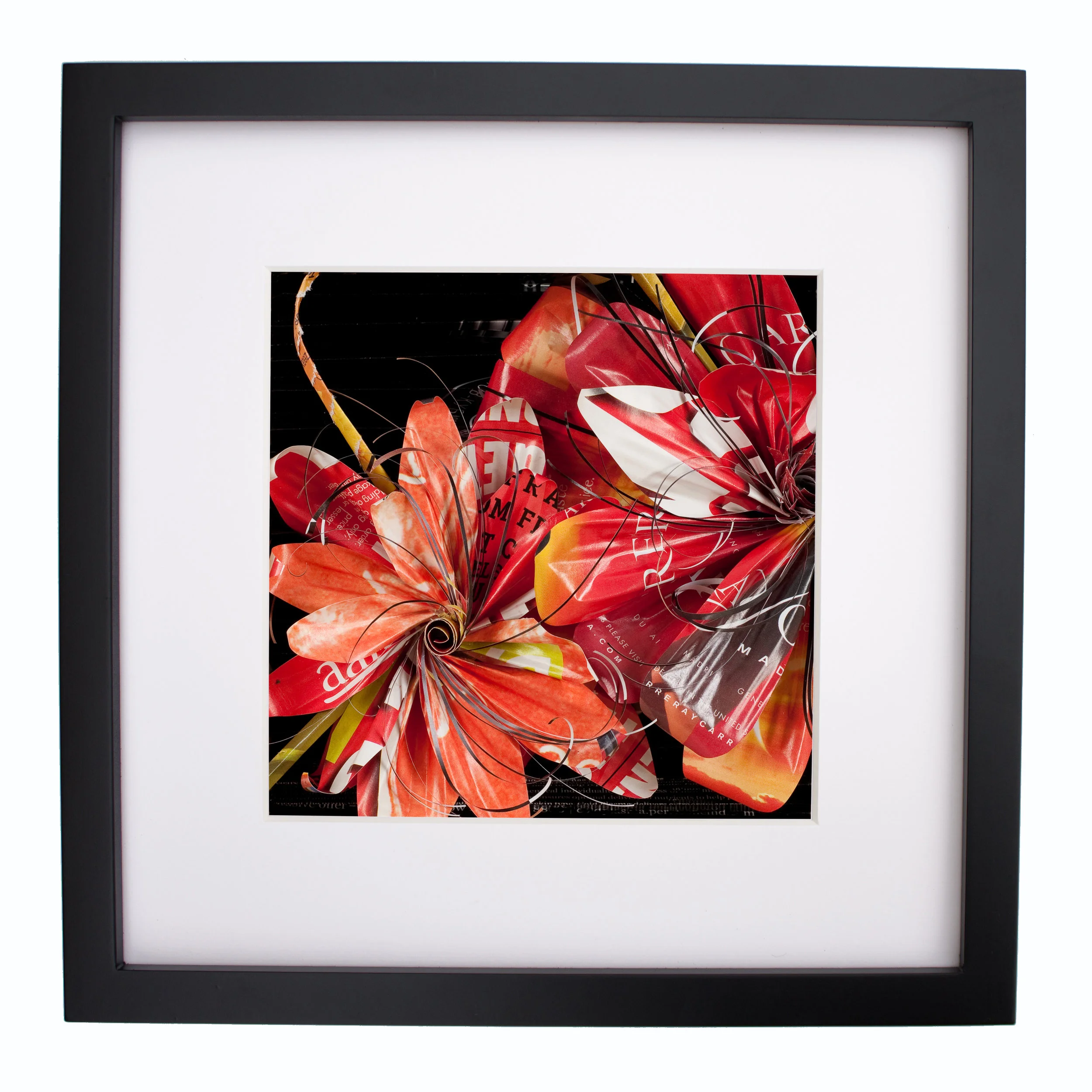 Hibiscus, print