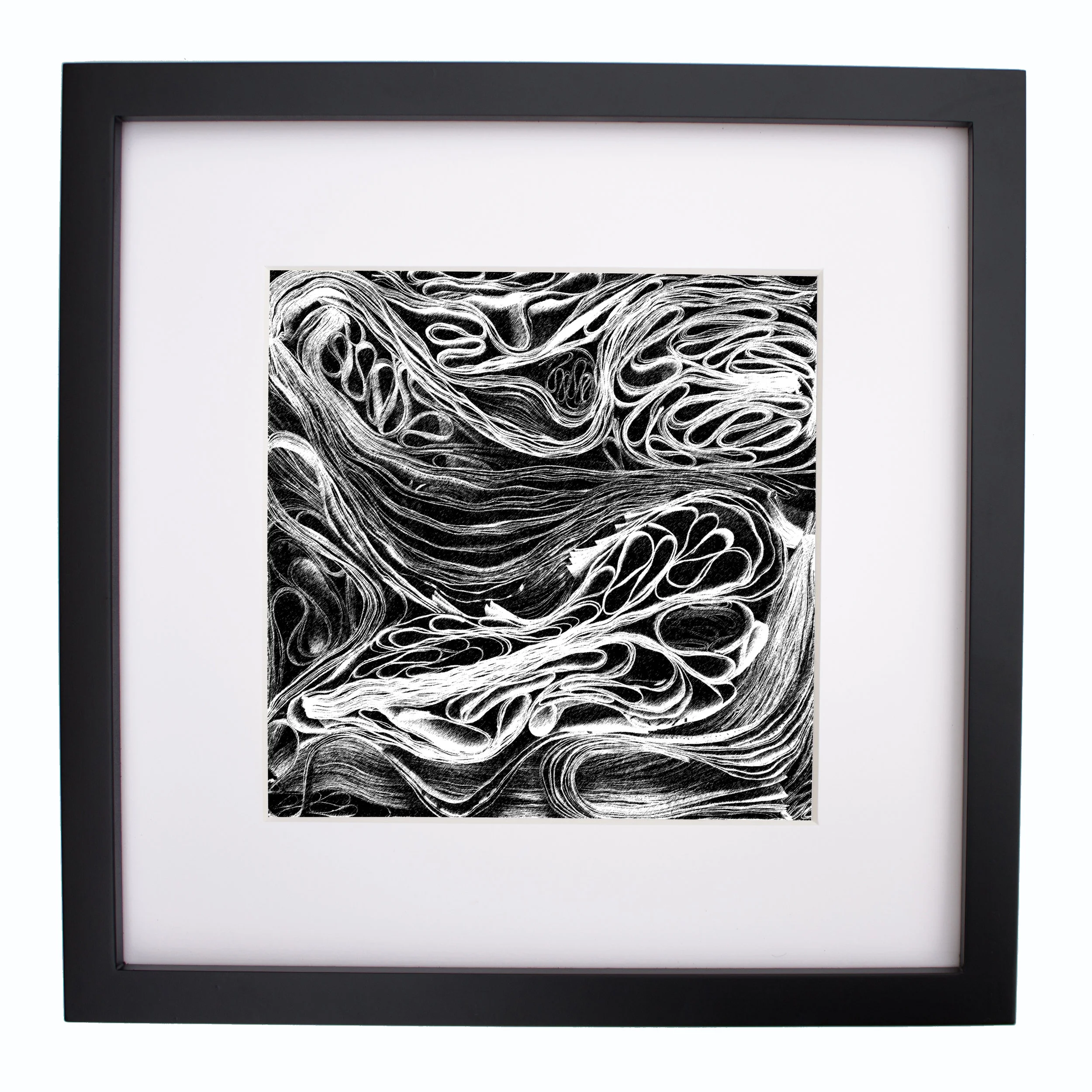 Organic Study 1, charcoal, print