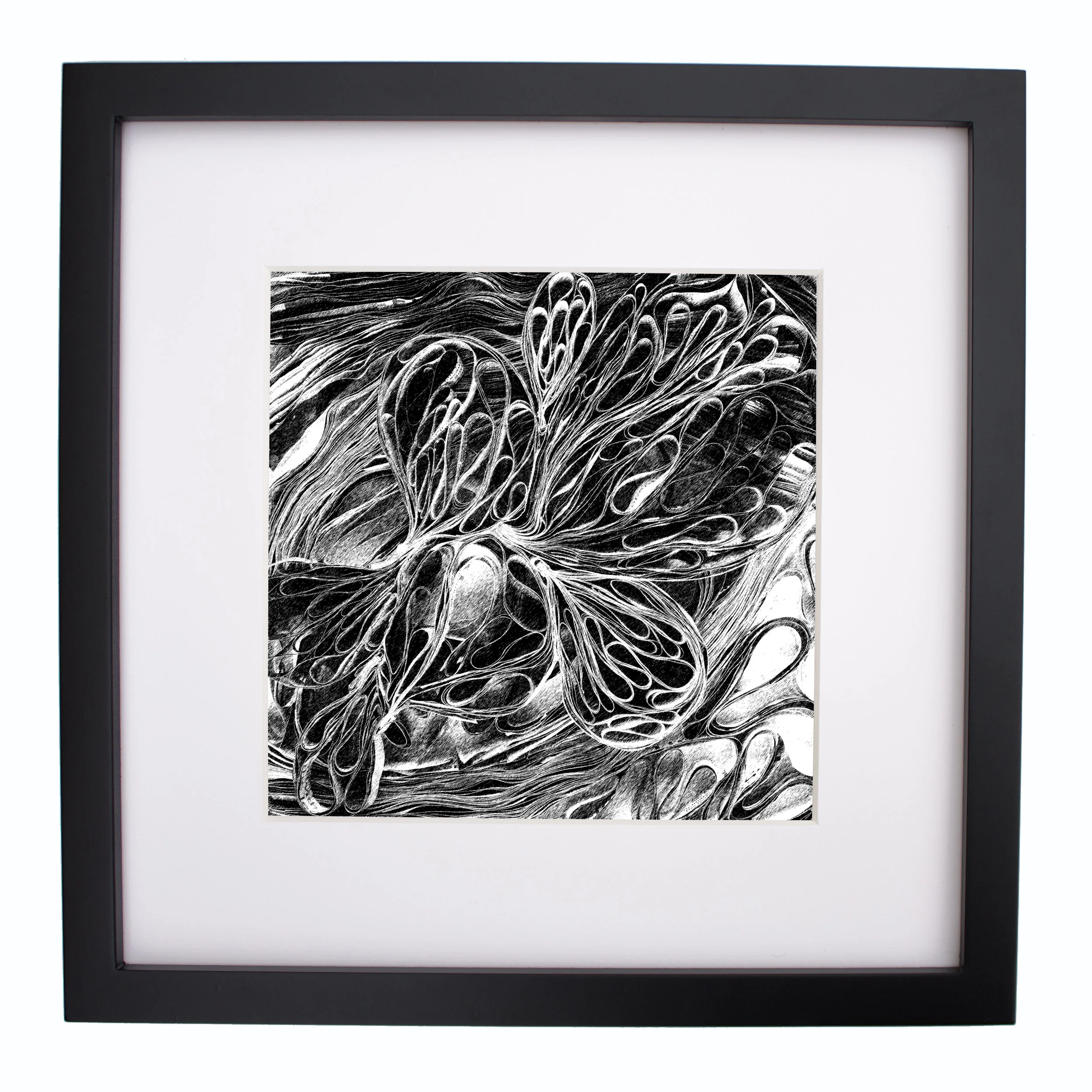 Oceanic Pods, charcoal, print