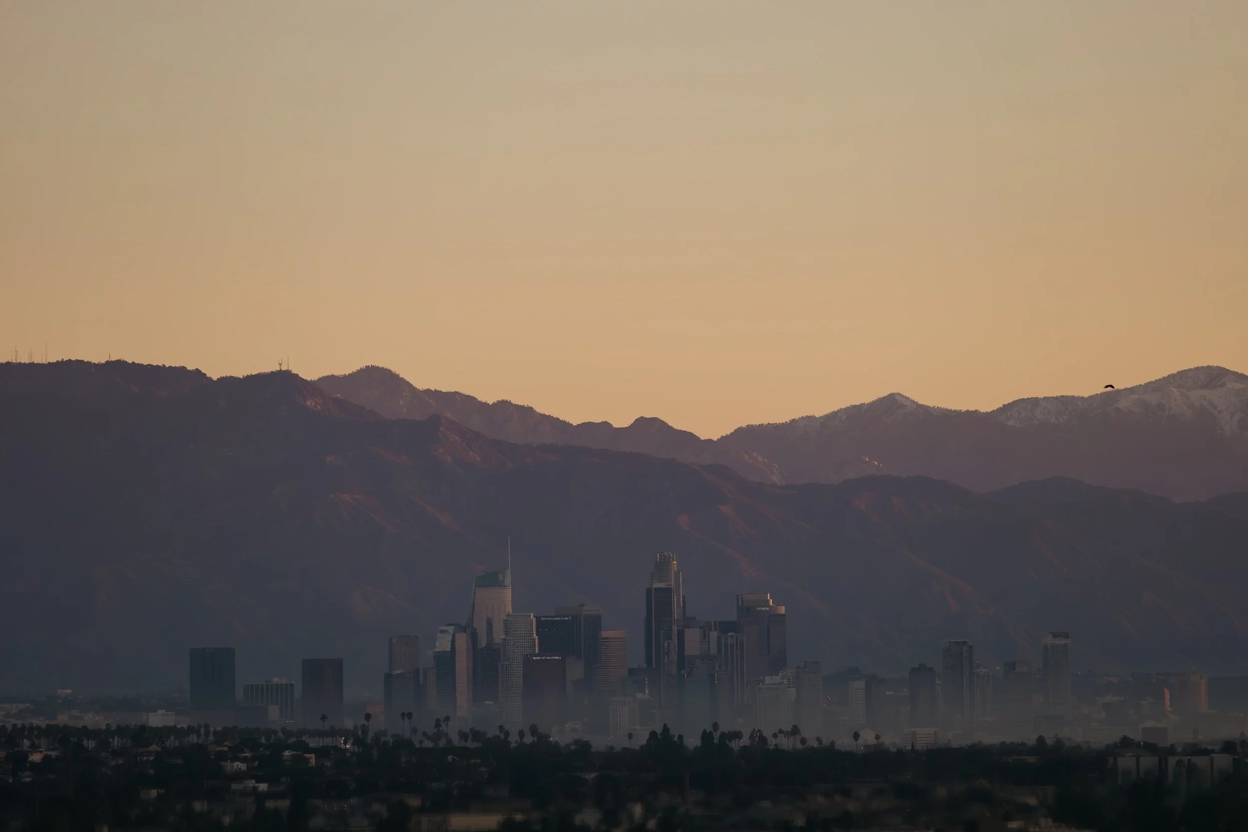 24H LOS ANGELES BY KARL HAB 10TH ANNIVERSARY 
