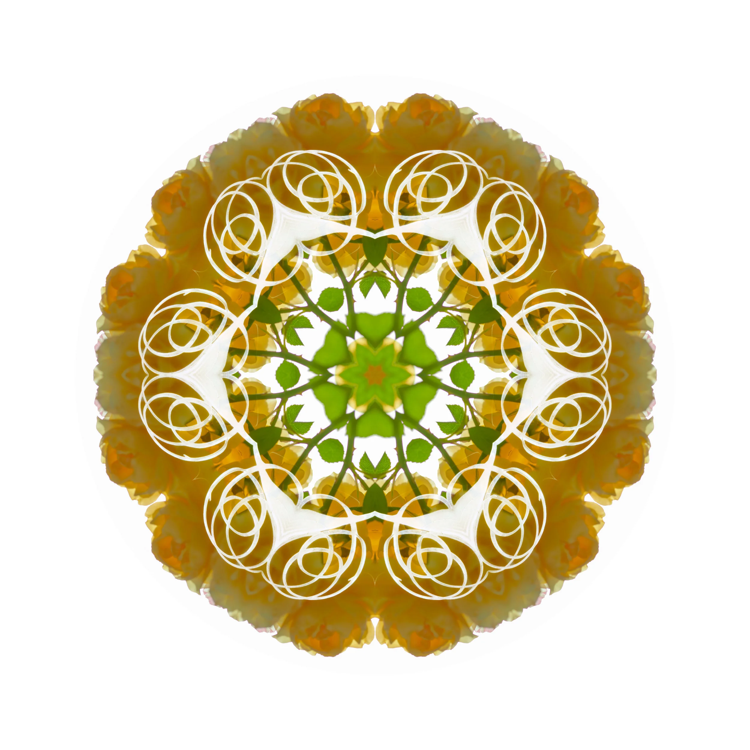 mandala10.jpg