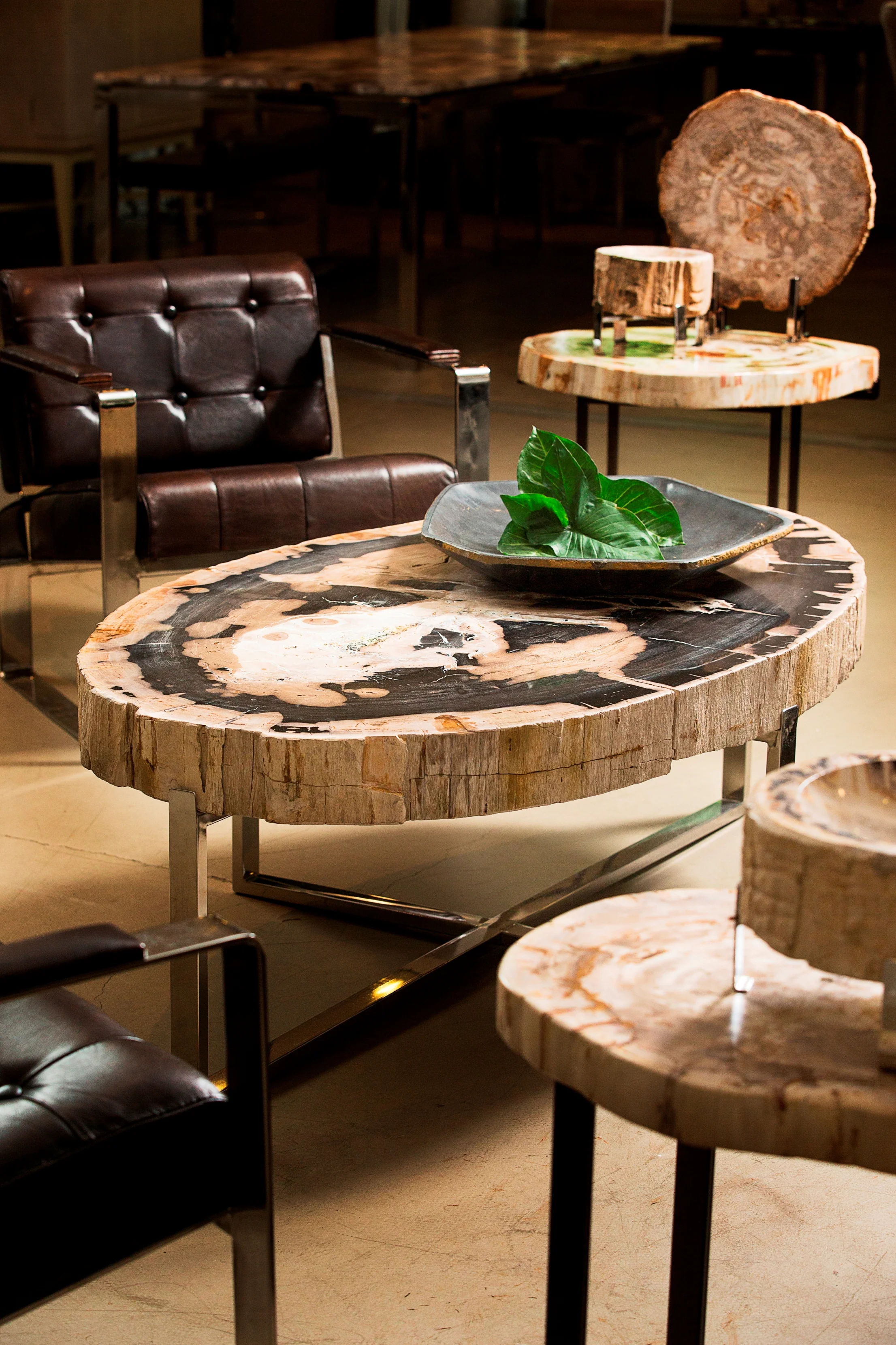 fossilised wood tables