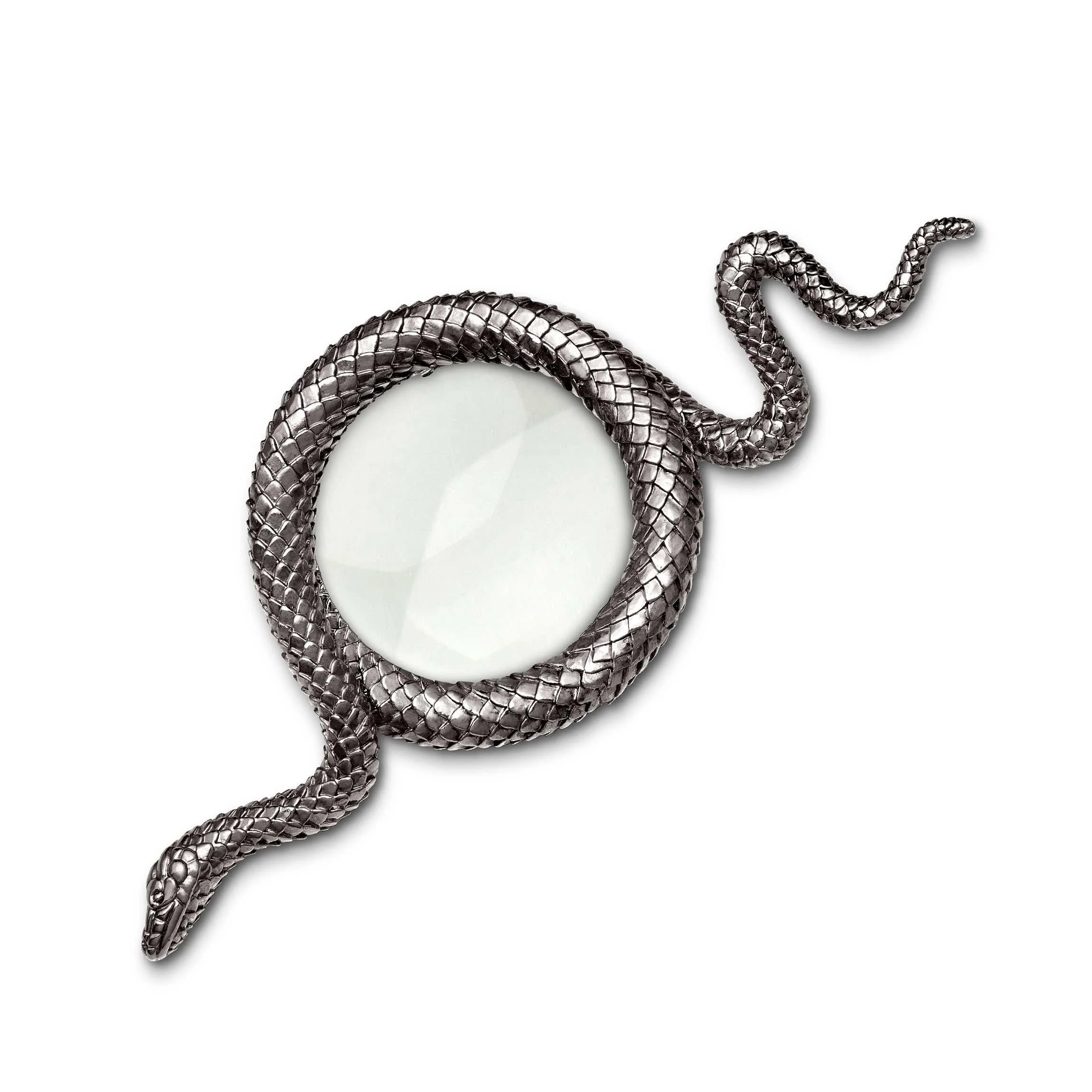 Snake Magnifying Glass