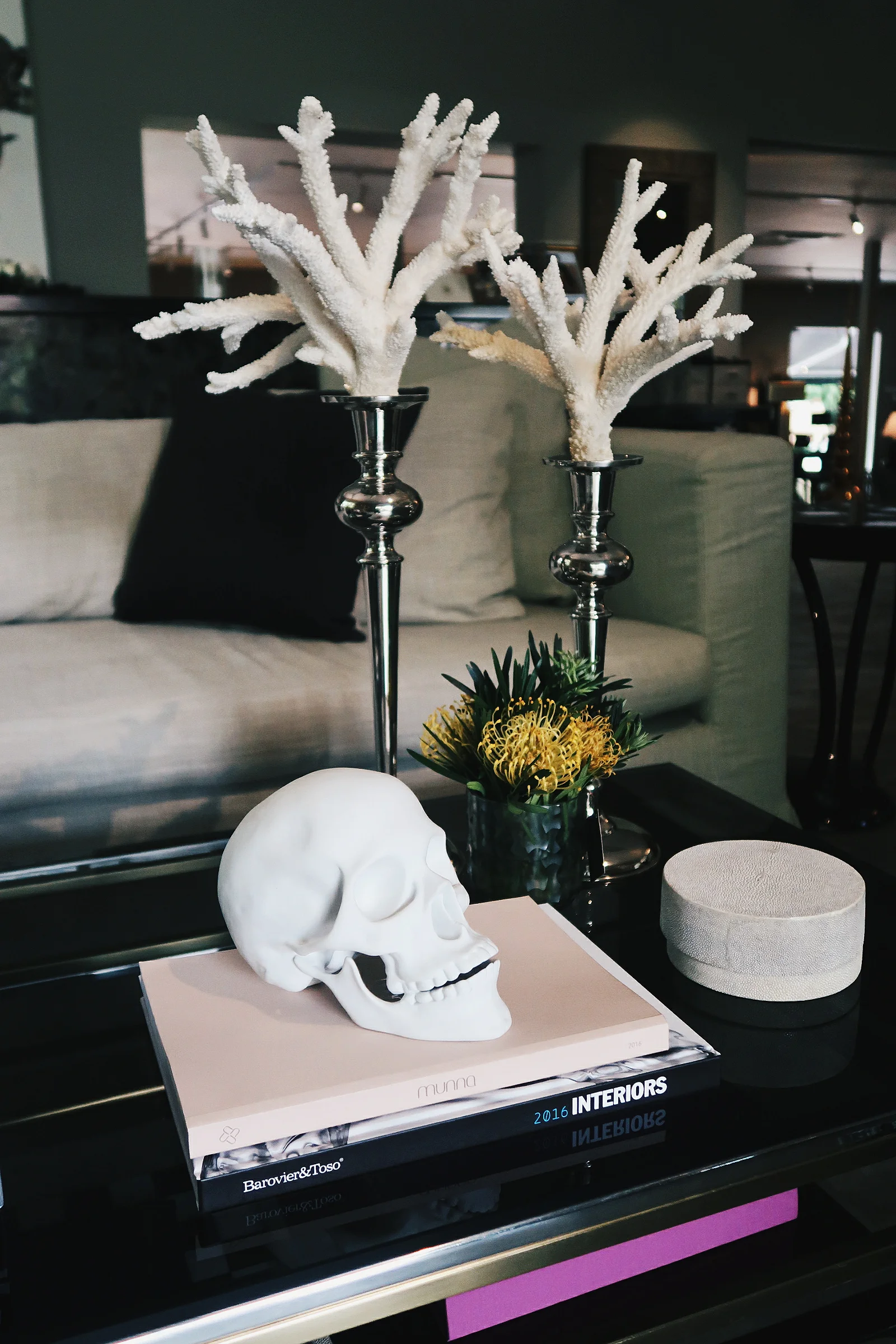 Coral on stand, shagreen round container, white skull table display