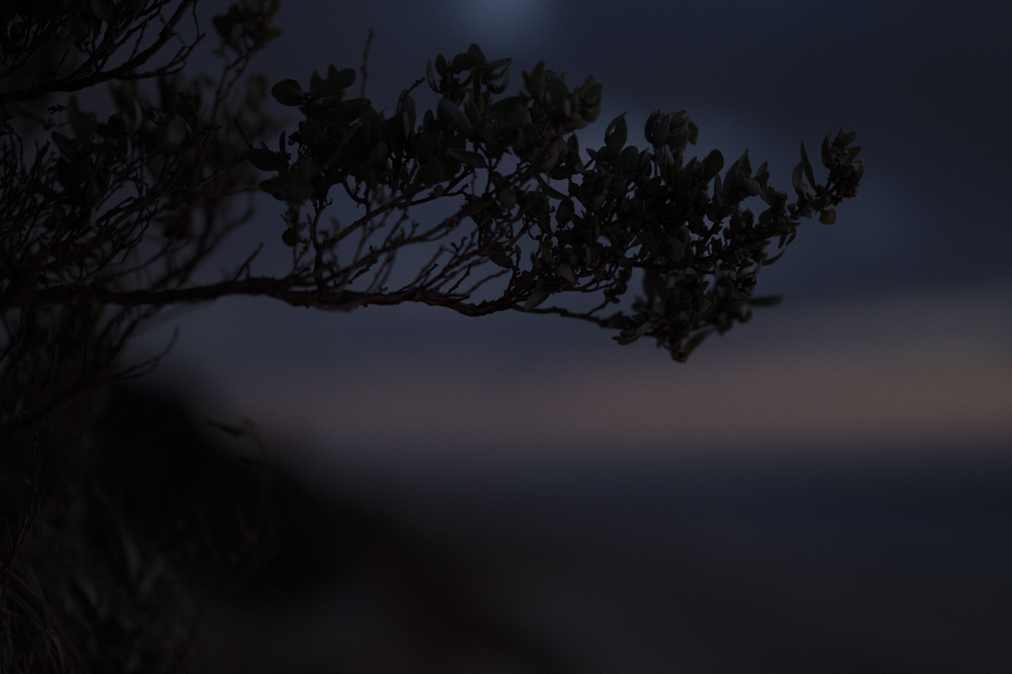 Semaphore Shore_S9_9537.jpg