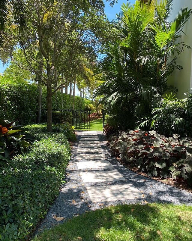 Make sure to get outside today🦋🌿🌱 Newest addition to the Orchidman Family... #orchidmanflorida #miamilandscape #coralgables
#pinecrest #miamibeach