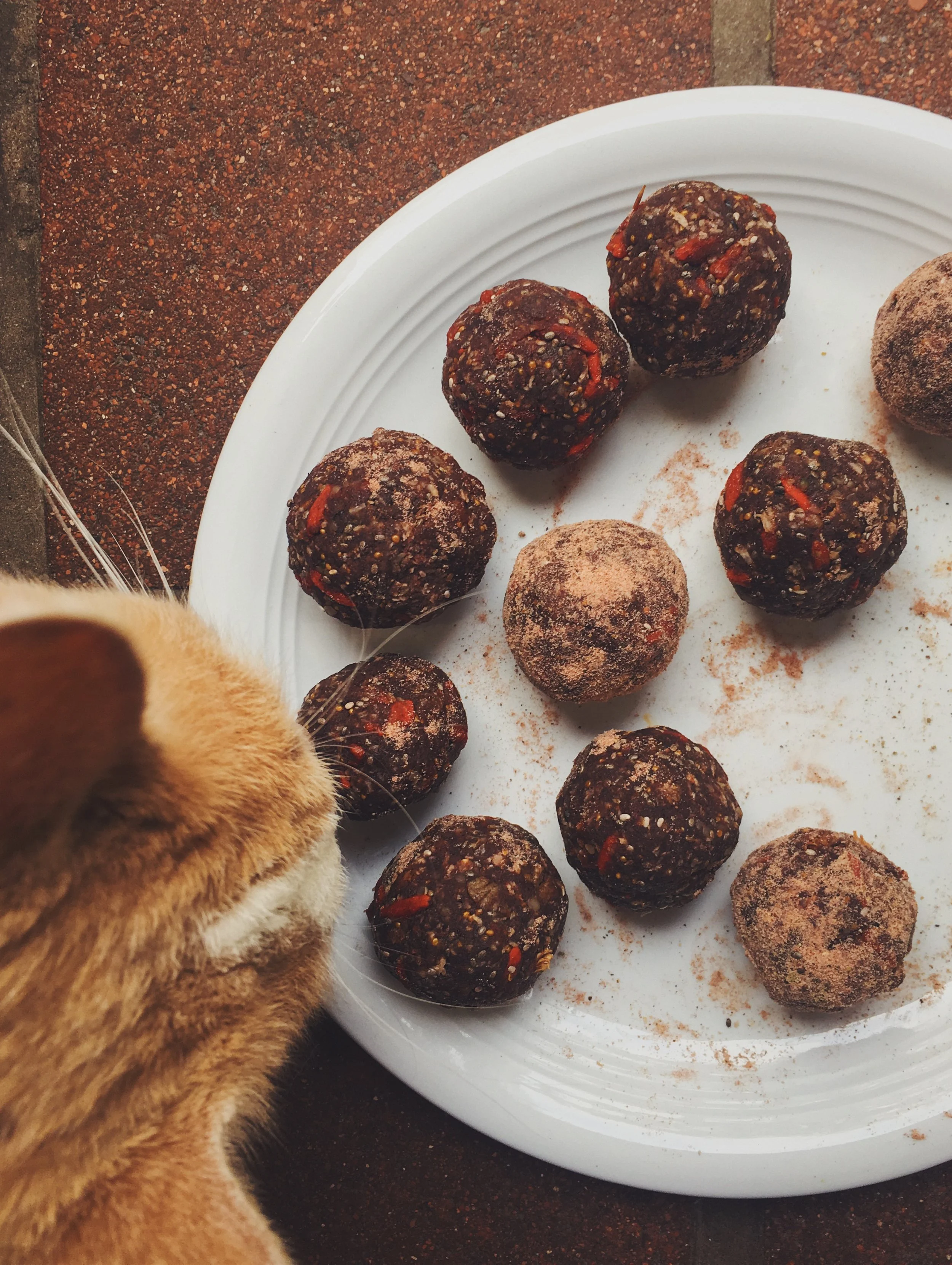 Meow. Cat-approved.