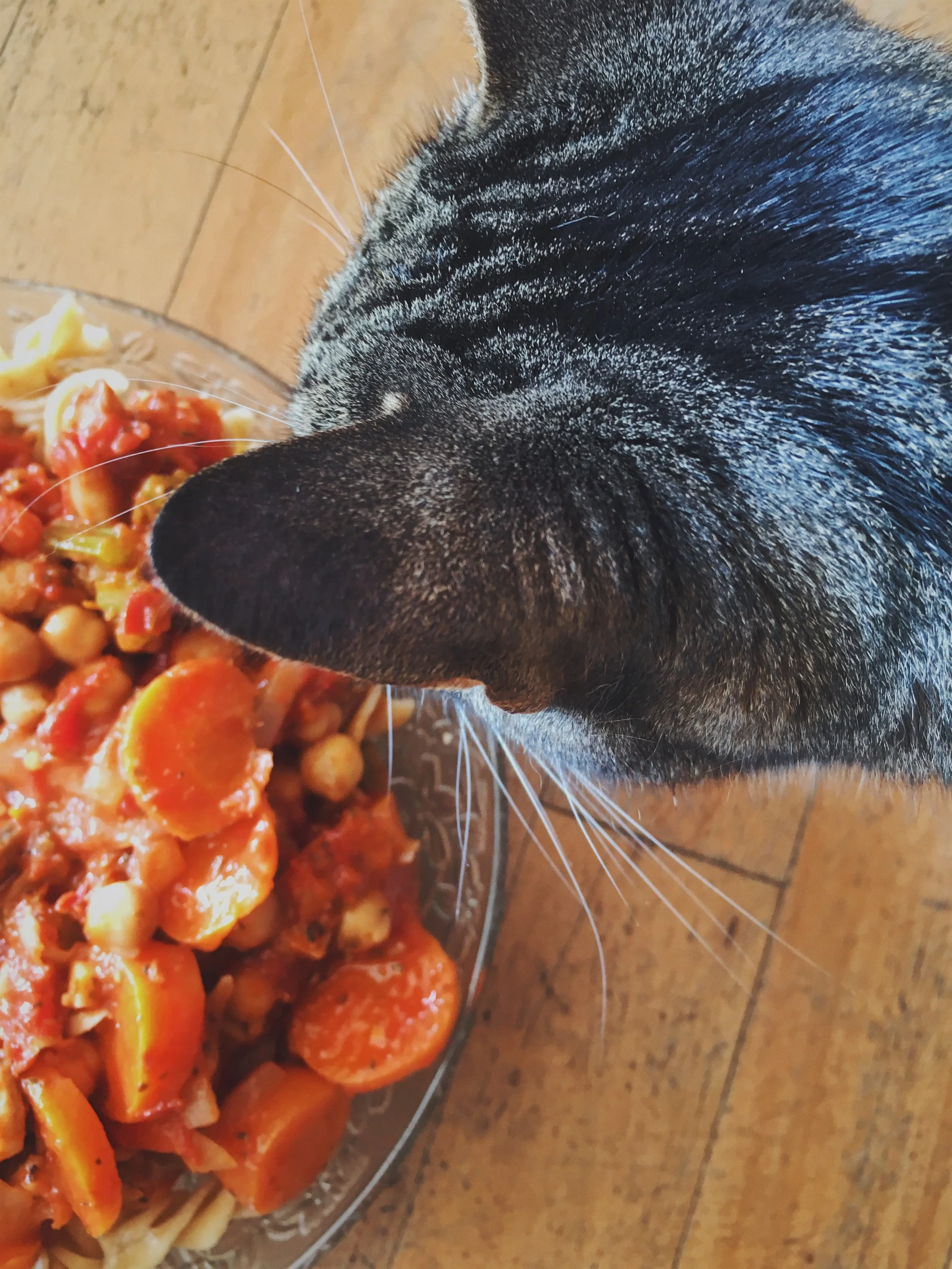 When the carnivorous cat approves the vegan pasta. #nailedit