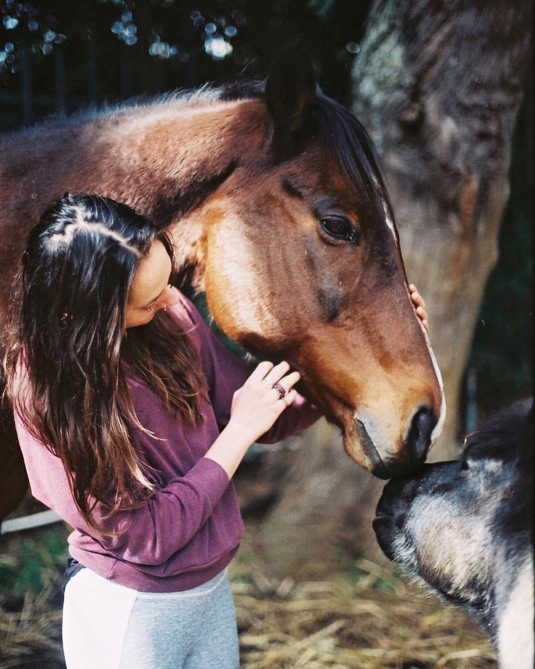 Vegan Horse Riding: Netizens React as New 'Equestrian Sport' Goes Viral -  EssentiallySports