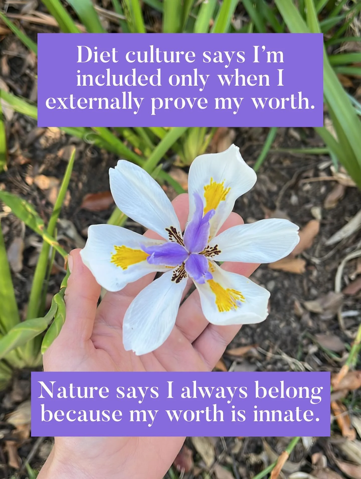 Diet culture says I&rsquo;m only included if I can somehow externally prove my worth. 

Nature says I always belong because my worth is innate. 

It feels different in your body, doesn&rsquo;t it, to feel like you need to earn your inclusion compared
