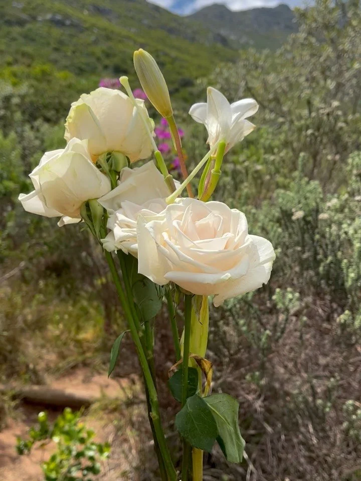 I&rsquo;m happy to share another weekly edition of #soulnourish 💞

Each week until the end of the year, I&rsquo;m sharing a few core moments where I chose to nourish myself, whether through time in nature, with friends, or in ritual. Moments that tr