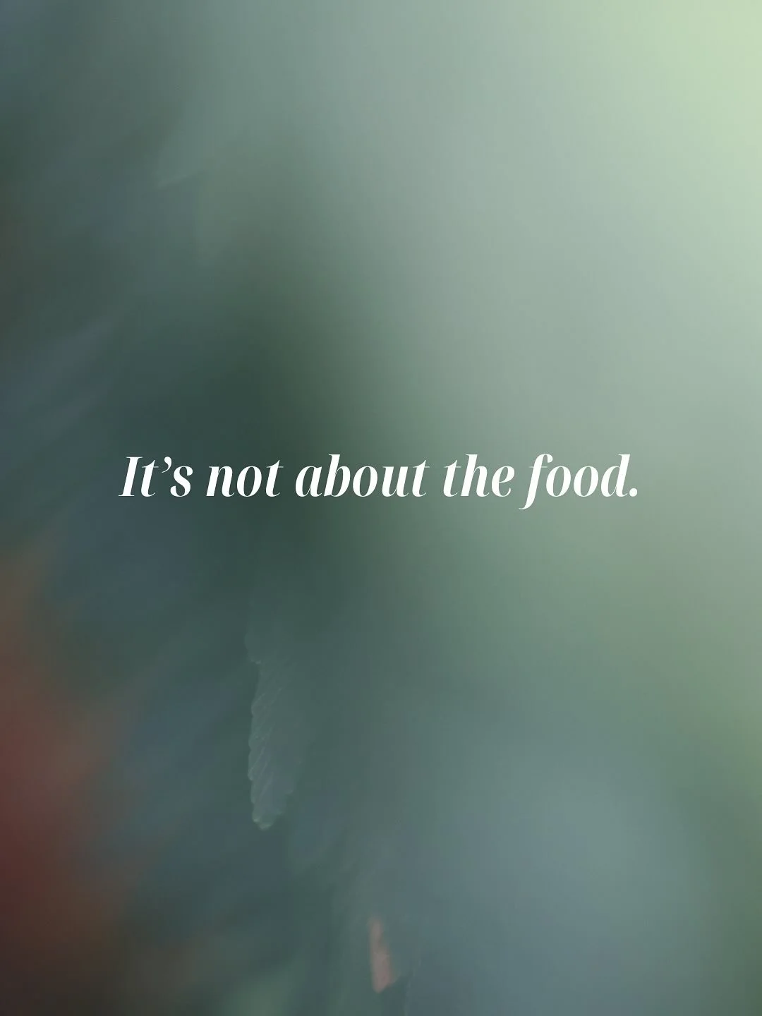 And finally, can you let the soft animal body love what it loves? 

❣️ There are still spaces left to join Medicine Within retreat, 5-7 December at Phakalane, Hout Bay. A weekend to land into the nourishment of ceremony, allowance to move towards wha