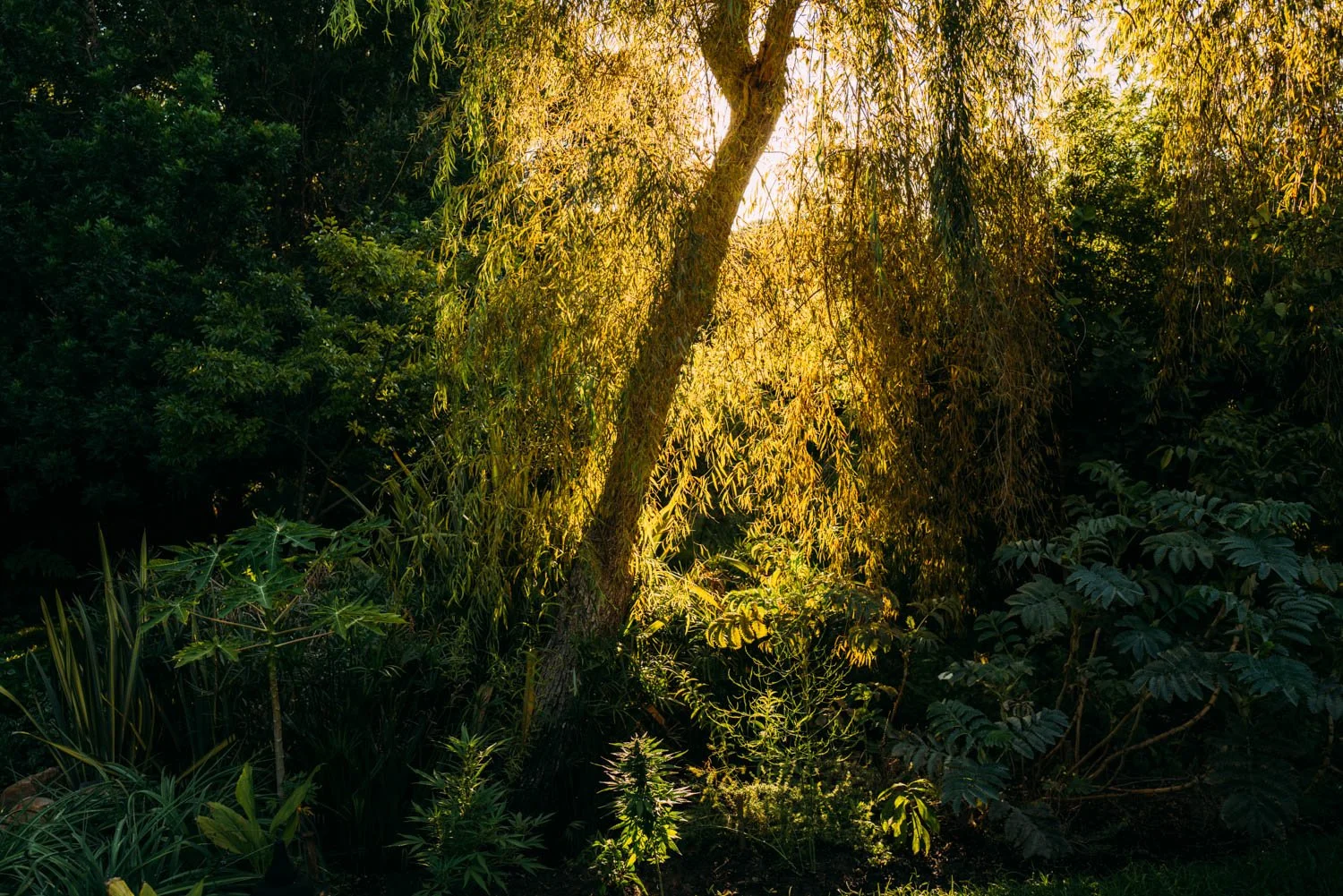 The Beauty of Connection: Lessons from my 30-Day Treasure Hunt