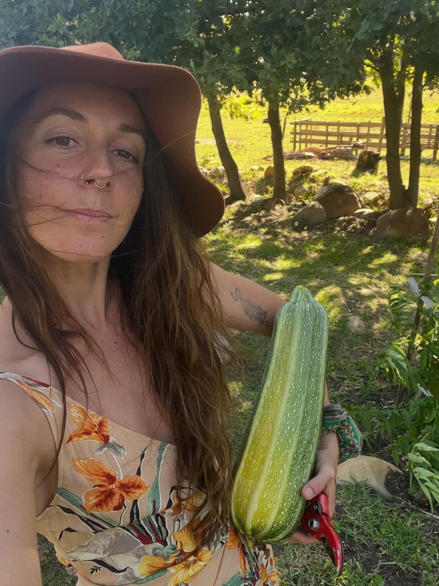 The second last installment of #soulnourish ❣️

This time of year can feel a little frenetic, so this week&rsquo;s collection gathers moments from the last two weeks: from beaches in summer in Cape Town, to aloe land with the horses, to the mountains