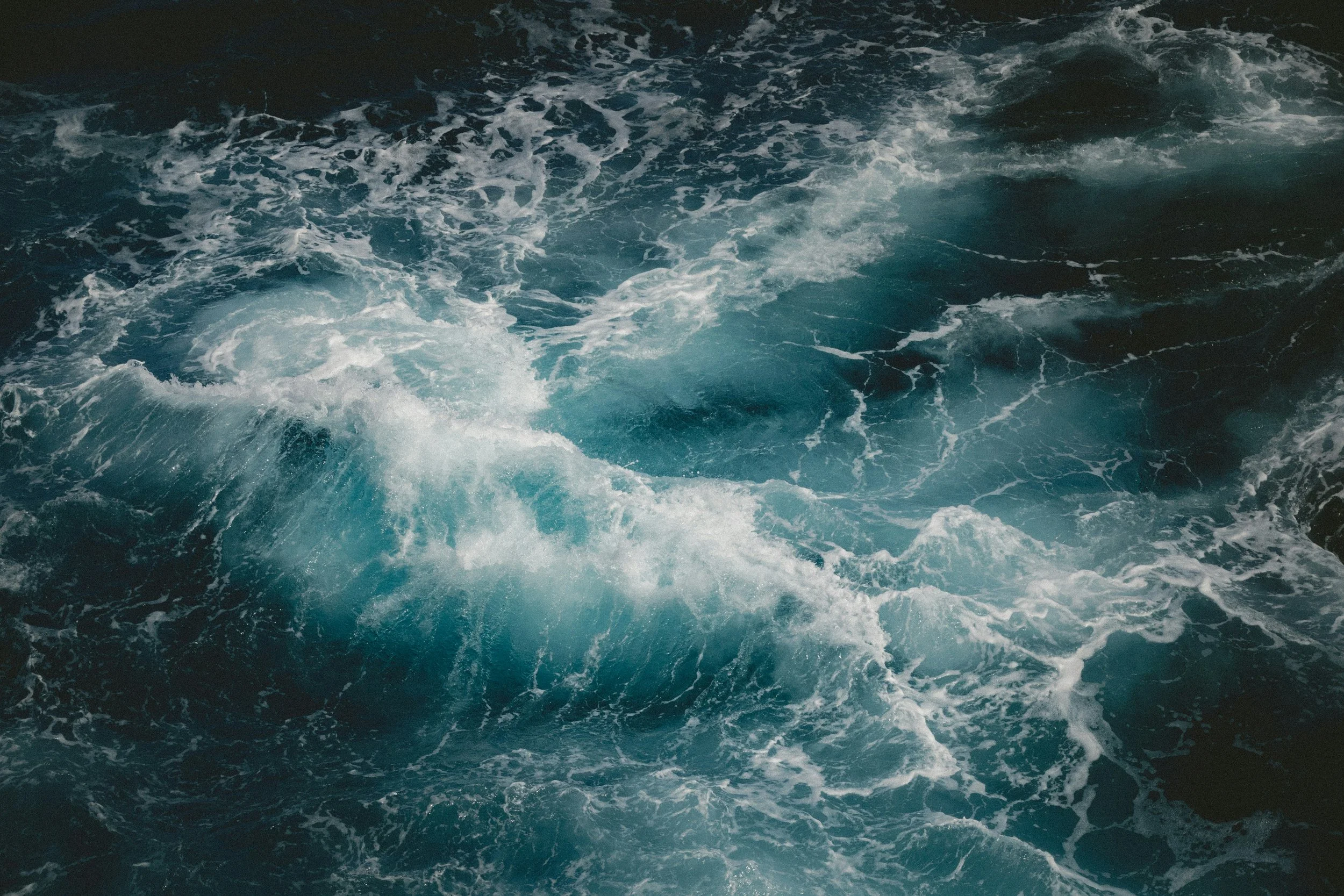 Riding the Storm: Somatic Skills for Times of Change