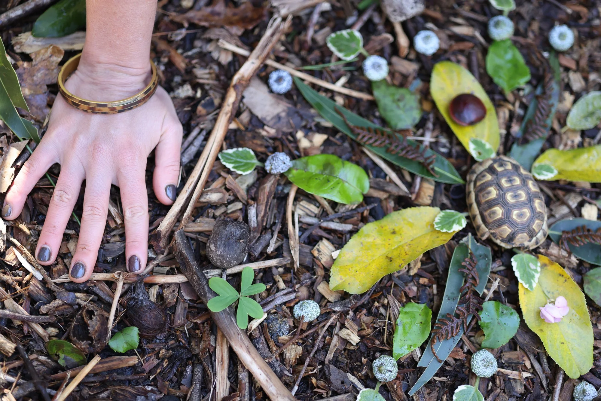 What My Recovery Taught Me About the Body, Nature, and Remembering Who I Am