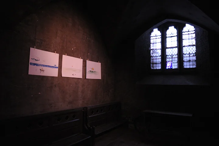BEX_5591.jpg