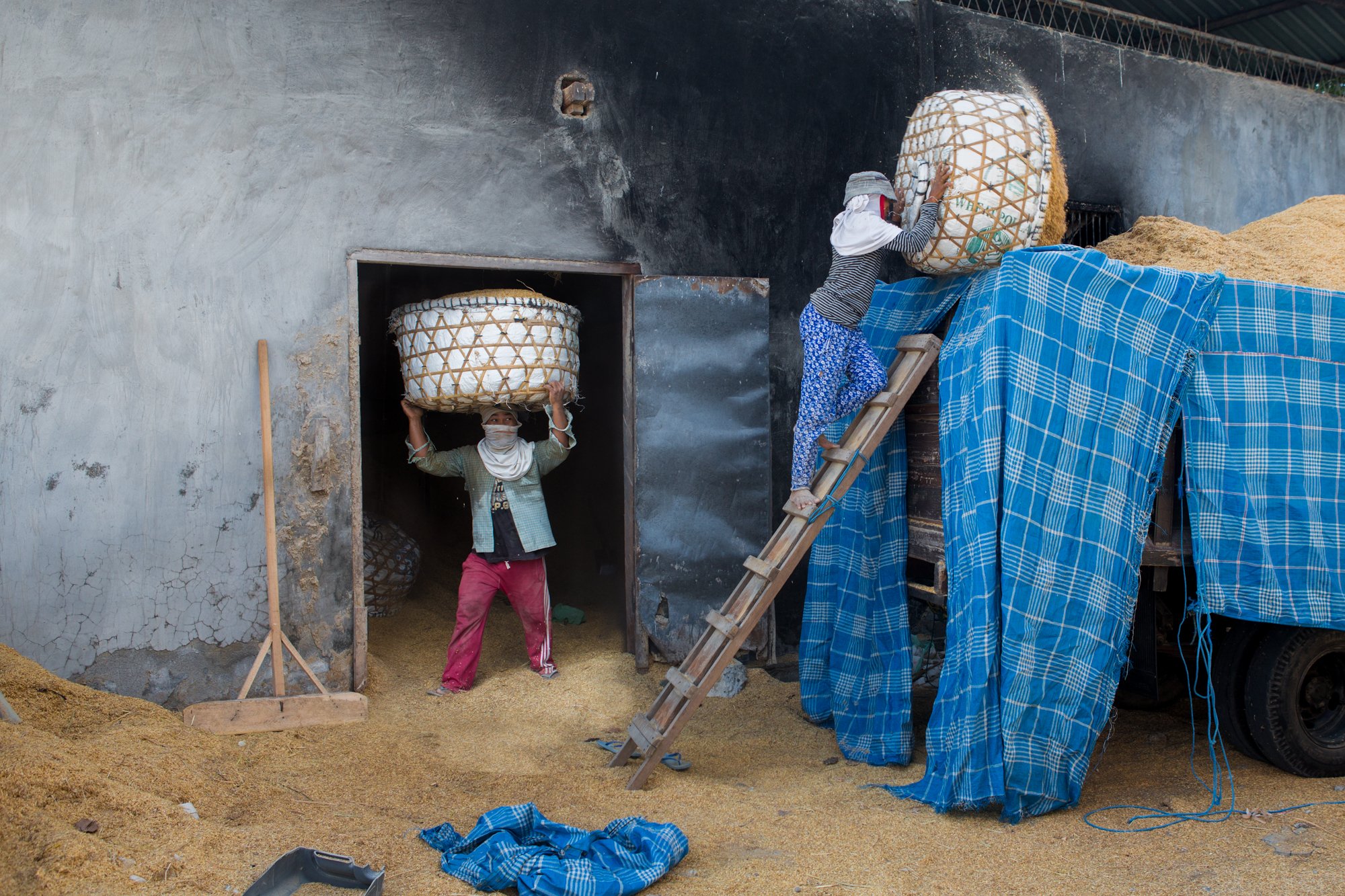 Rice Sorting-4720-Edit.jpg