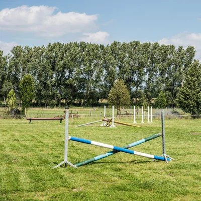 springplatz.jpg